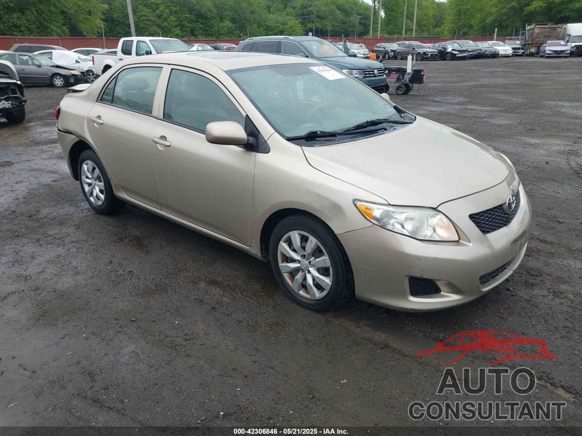TOYOTA COROLLA 2010 - 2T1BU4EE2AC371211