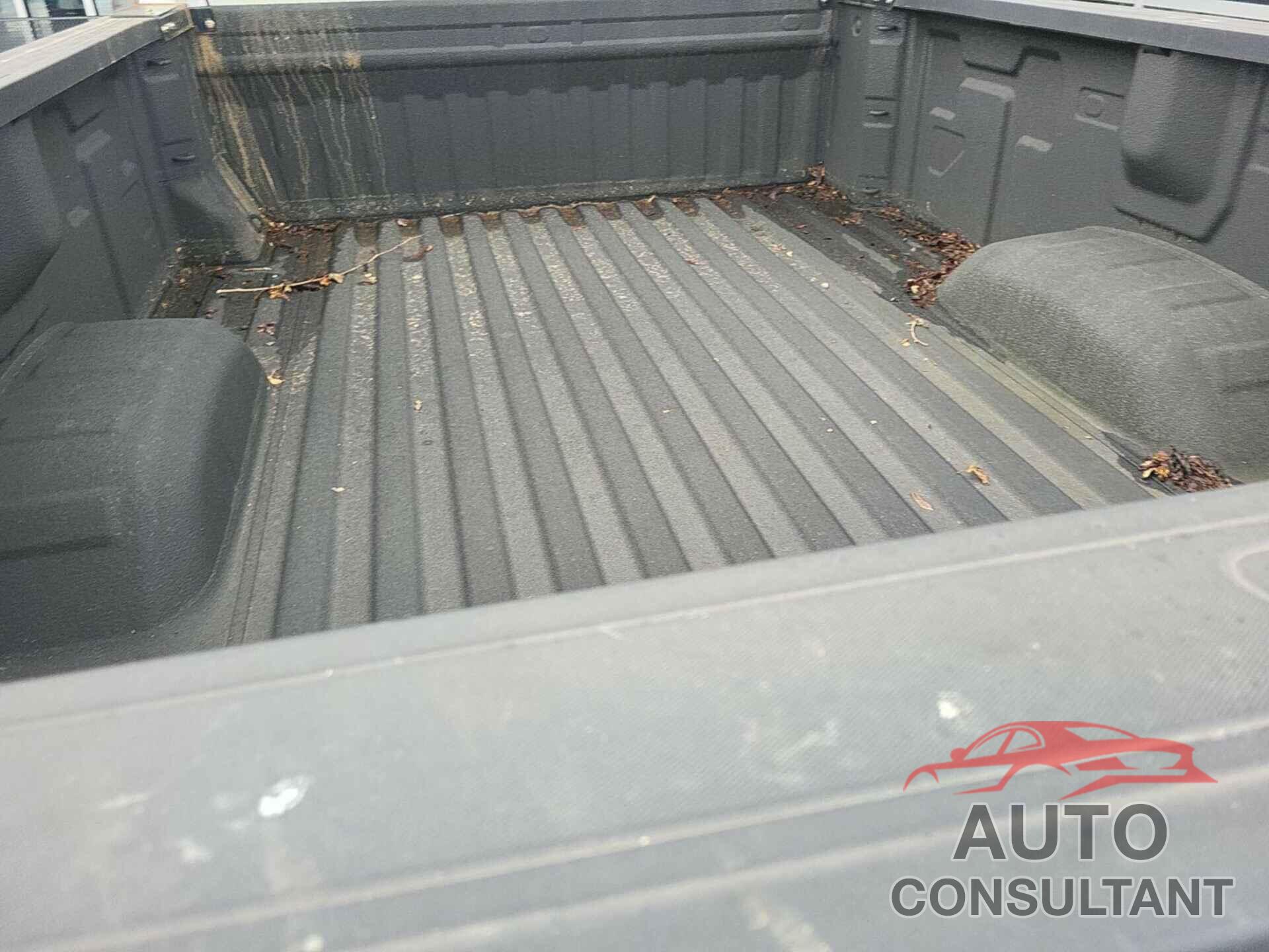 CHEVROLET SILVERADO 2024 - 1GC4YSEY2RF192391
