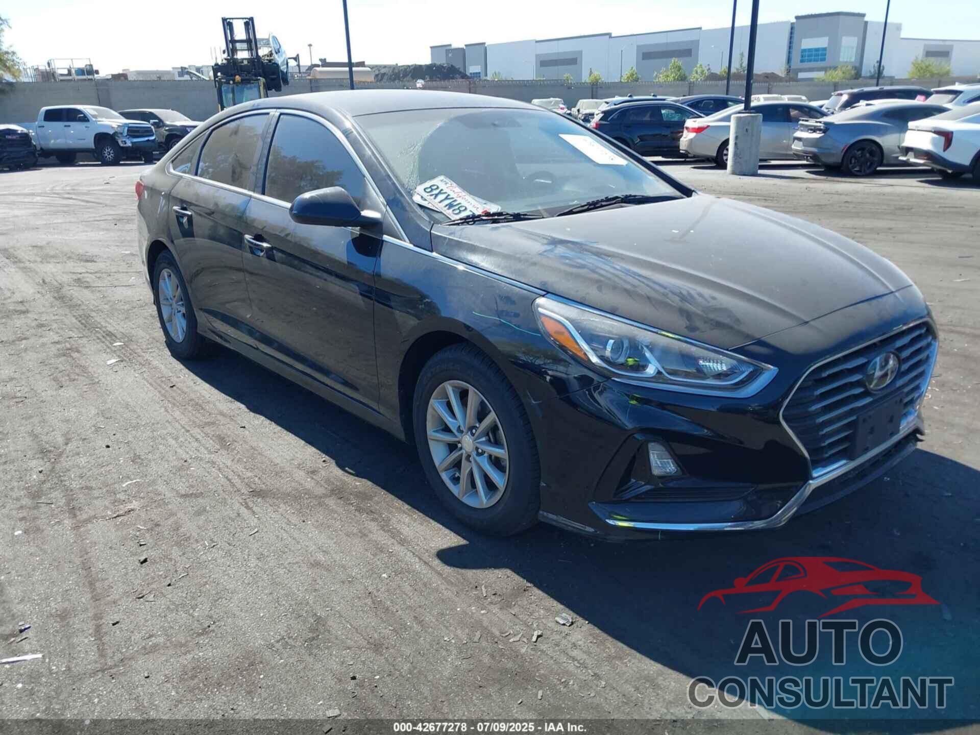 HYUNDAI SONATA 2019 - 5NPE24AF8KH749502