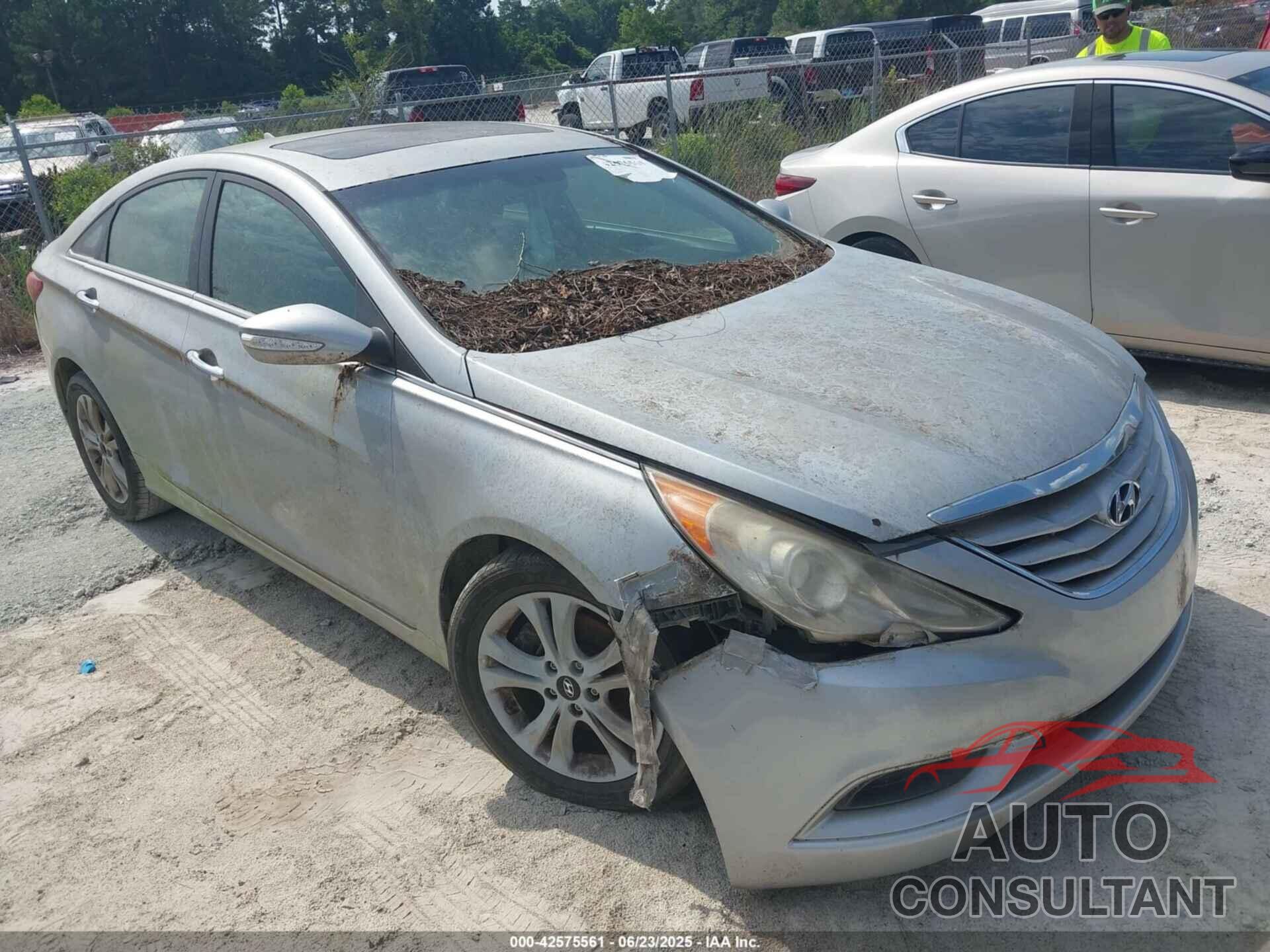 HYUNDAI SONATA 2011 - 5NPEC4AC6BH010146