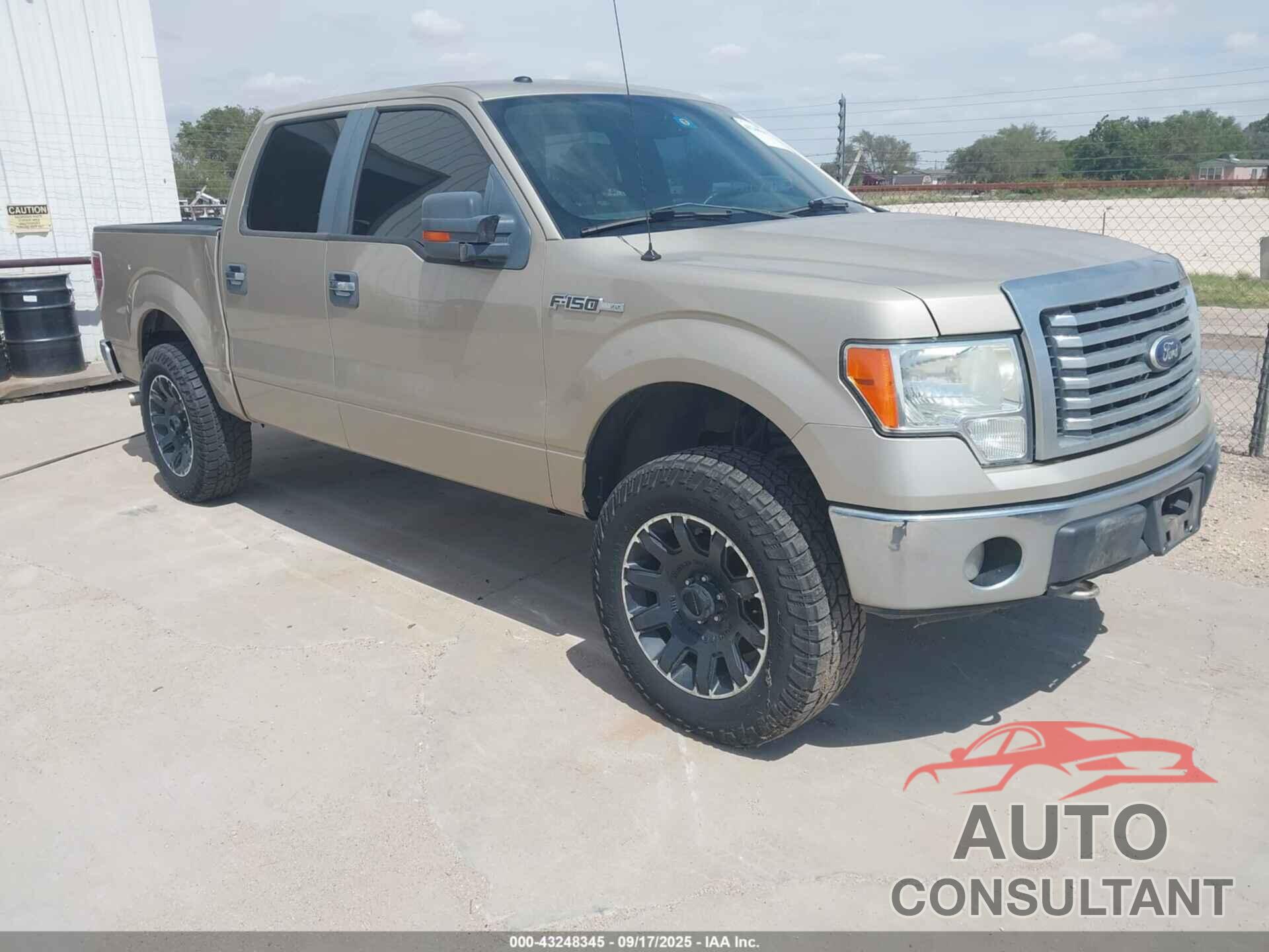 FORD F-150 2010 - 1FTEW1E8XAFA52839