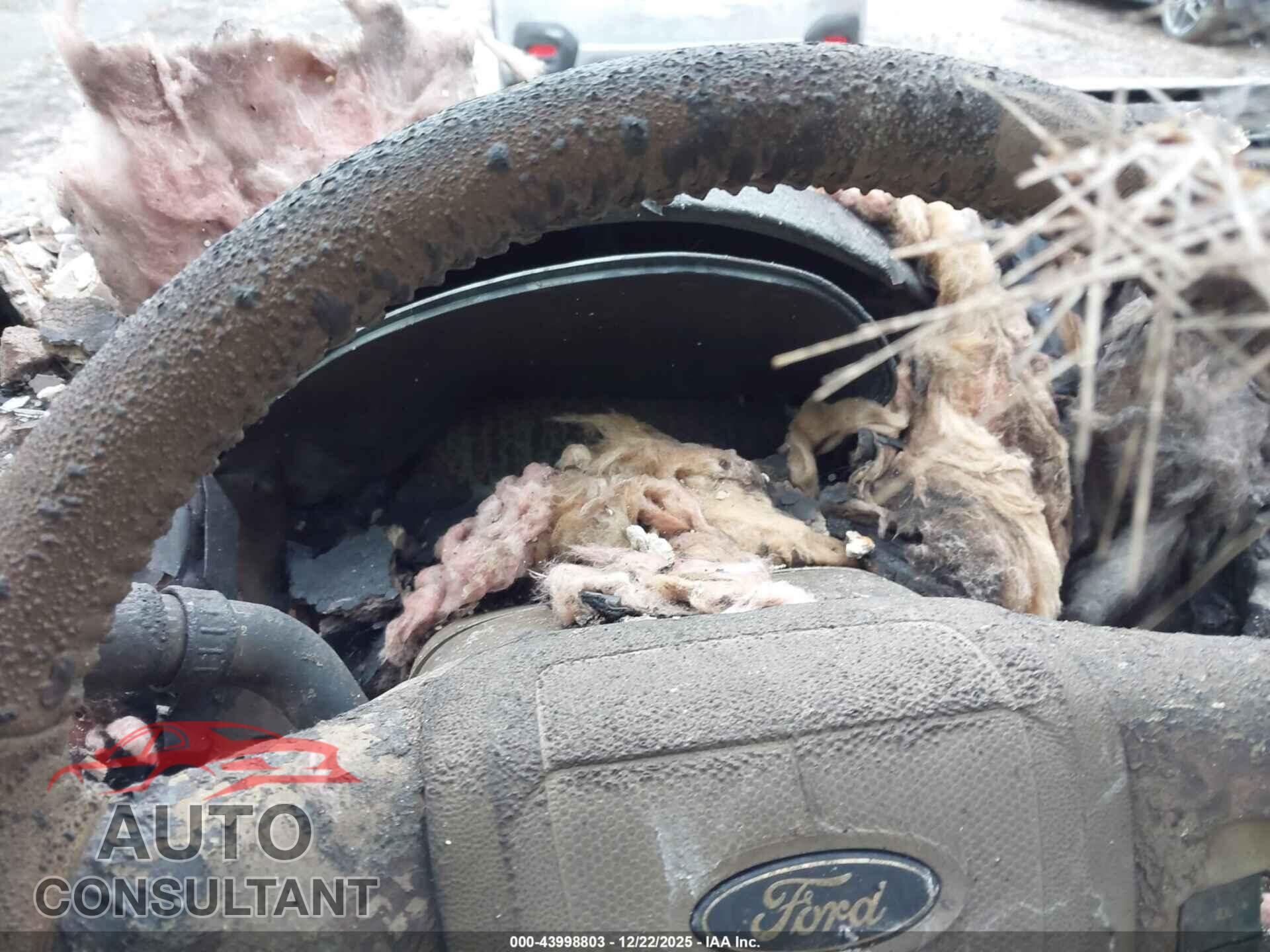 FORD ESCAPE 2012 - 1FMCU9DG9CKB63876