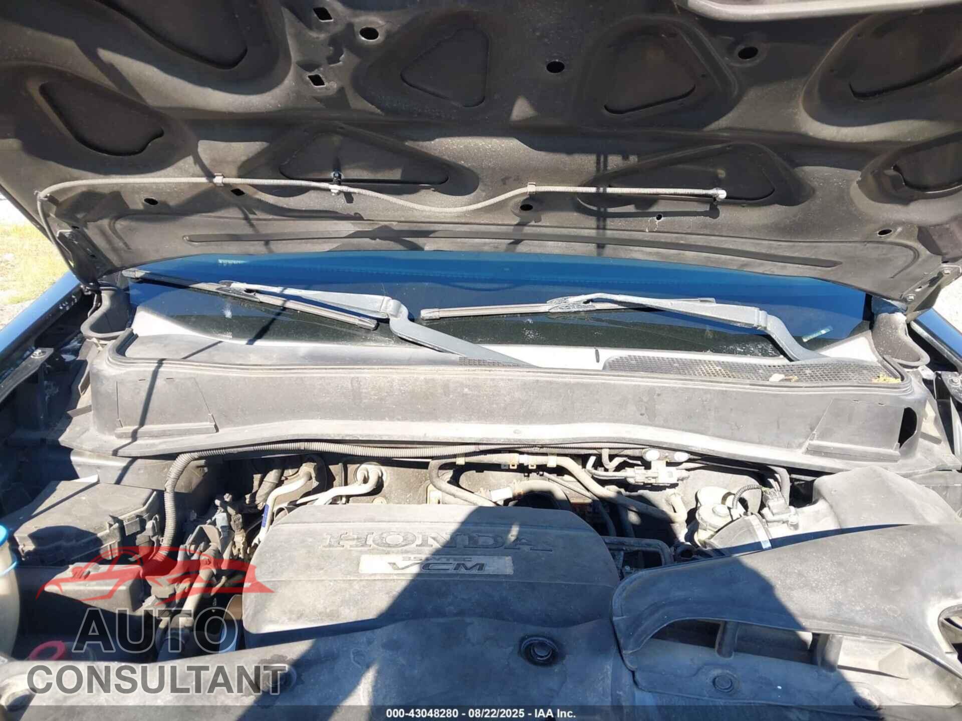 HONDA PILOT 2009 - 5FNYF48409B006685