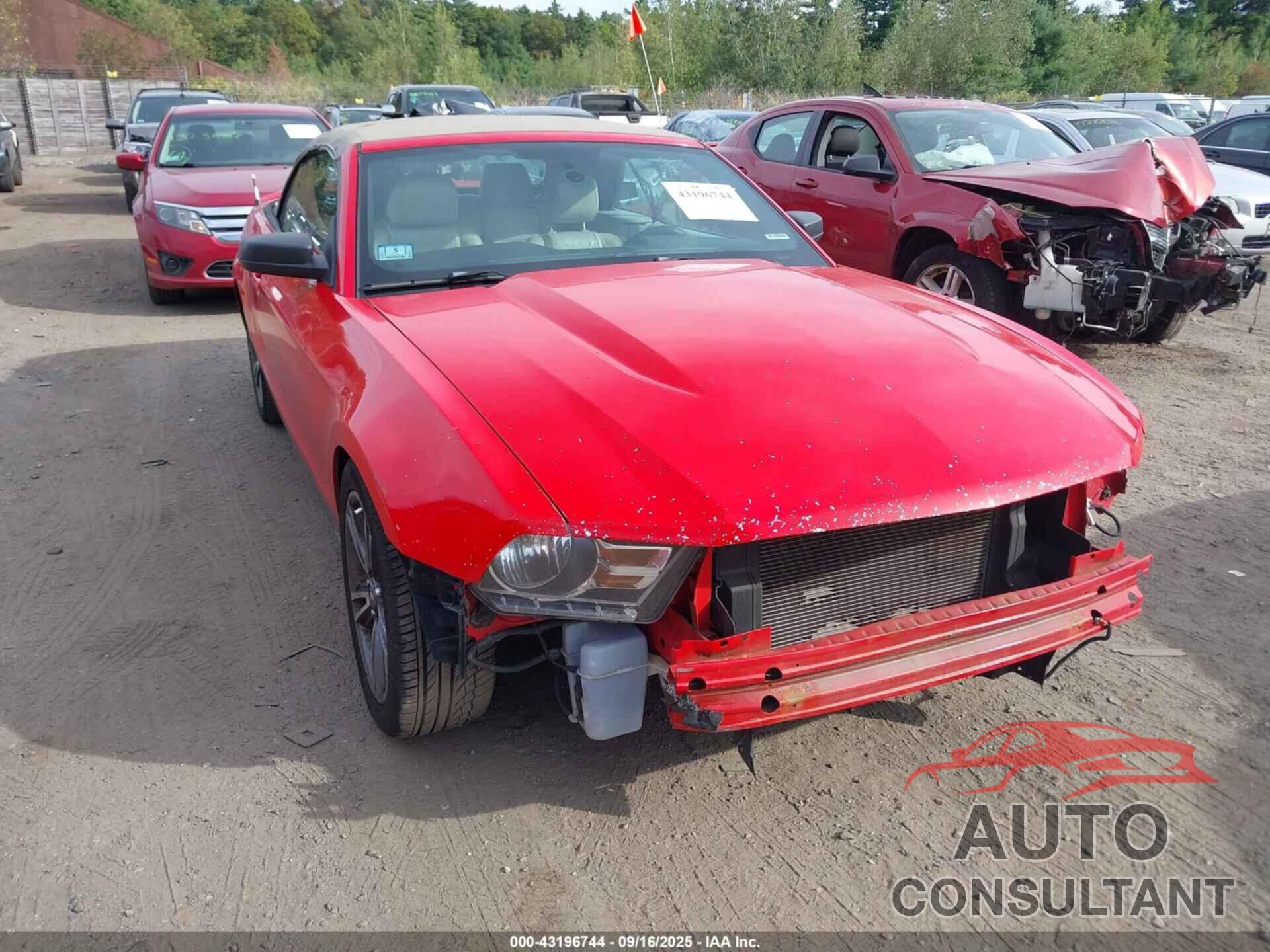 FORD MUSTANG 2011 - 1ZVBP8EM7B5109072