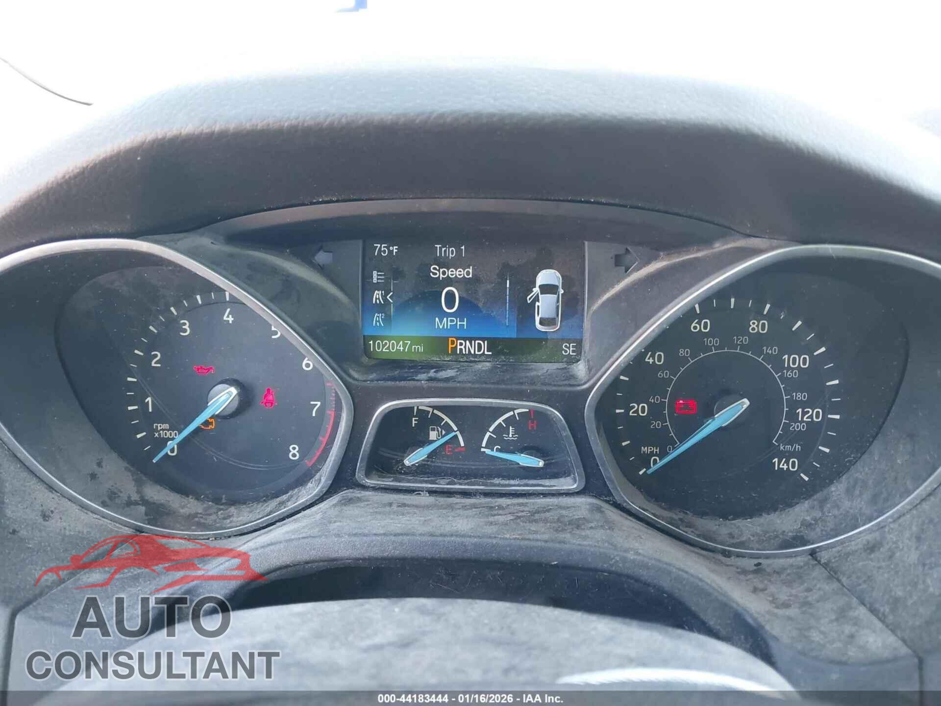 FORD FOCUS 2016 - 1FADP3F26GL267603