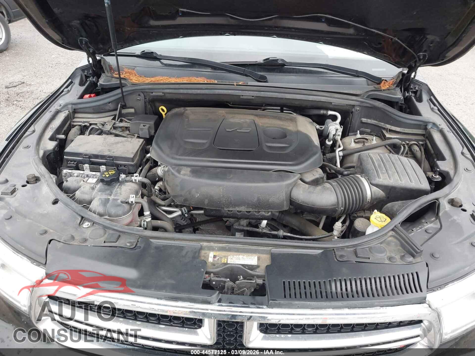 DODGE DURANGO 2019 - 1C4RDJAG3KC744433