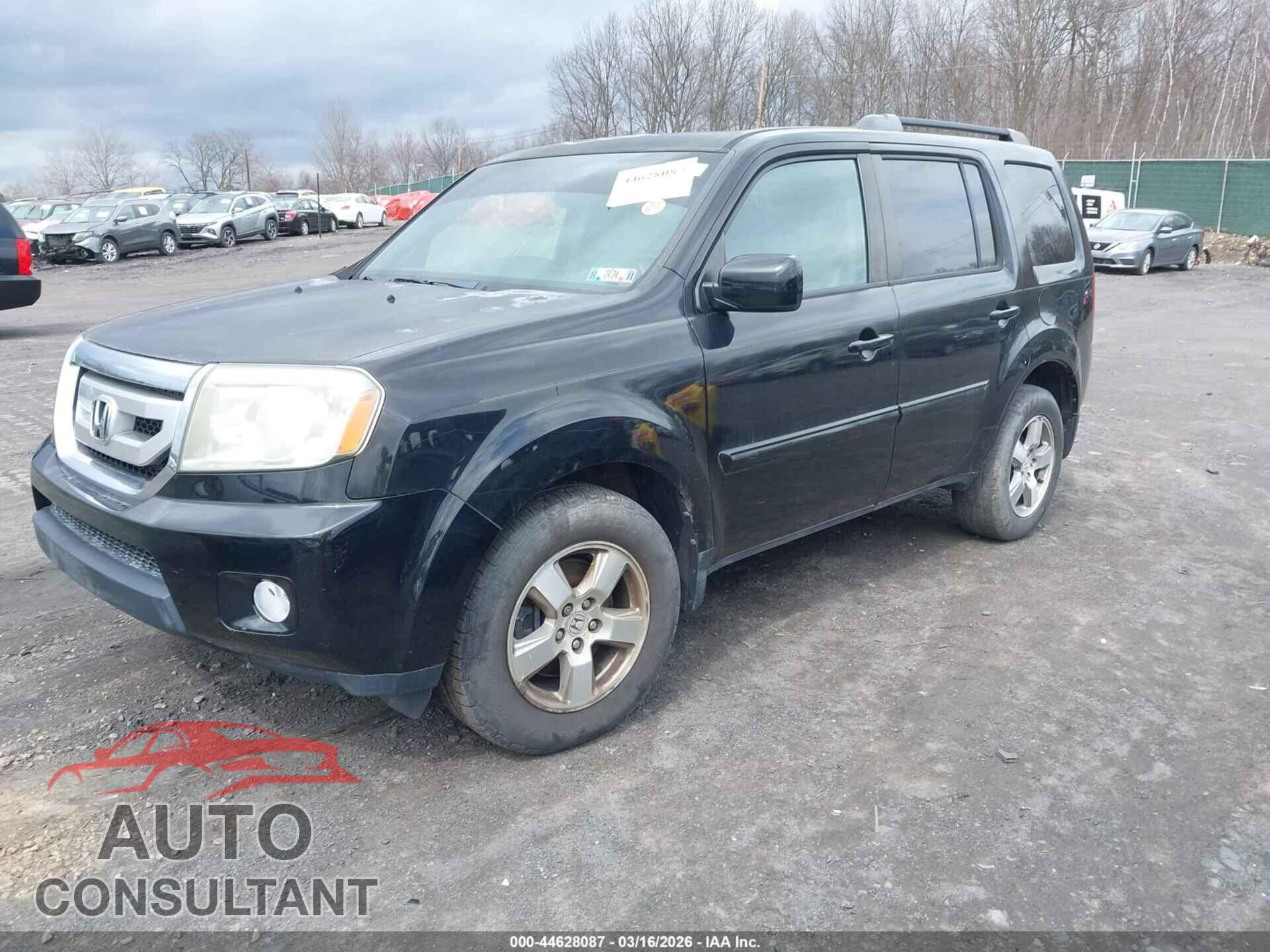 HONDA PILOT 2011 - 5FNYF3H77BB012218