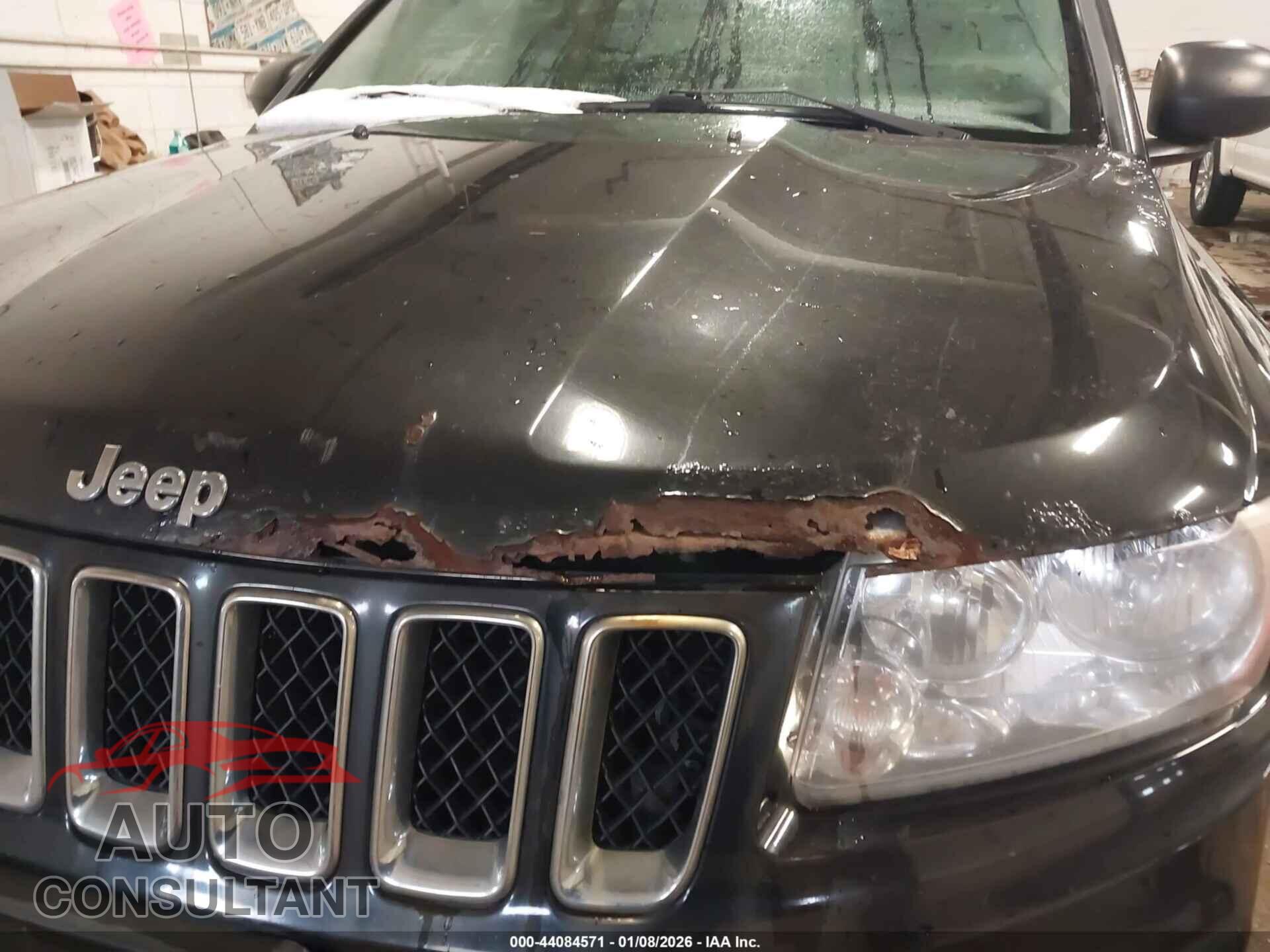 JEEP COMPASS 2011 - 1J4NT1FB7BD139432