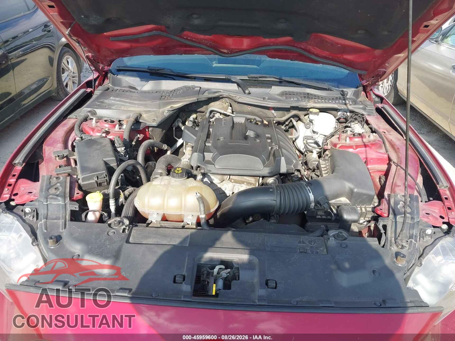 FORD MUSTANG 2019 - 1FA6P8TH2K5116477