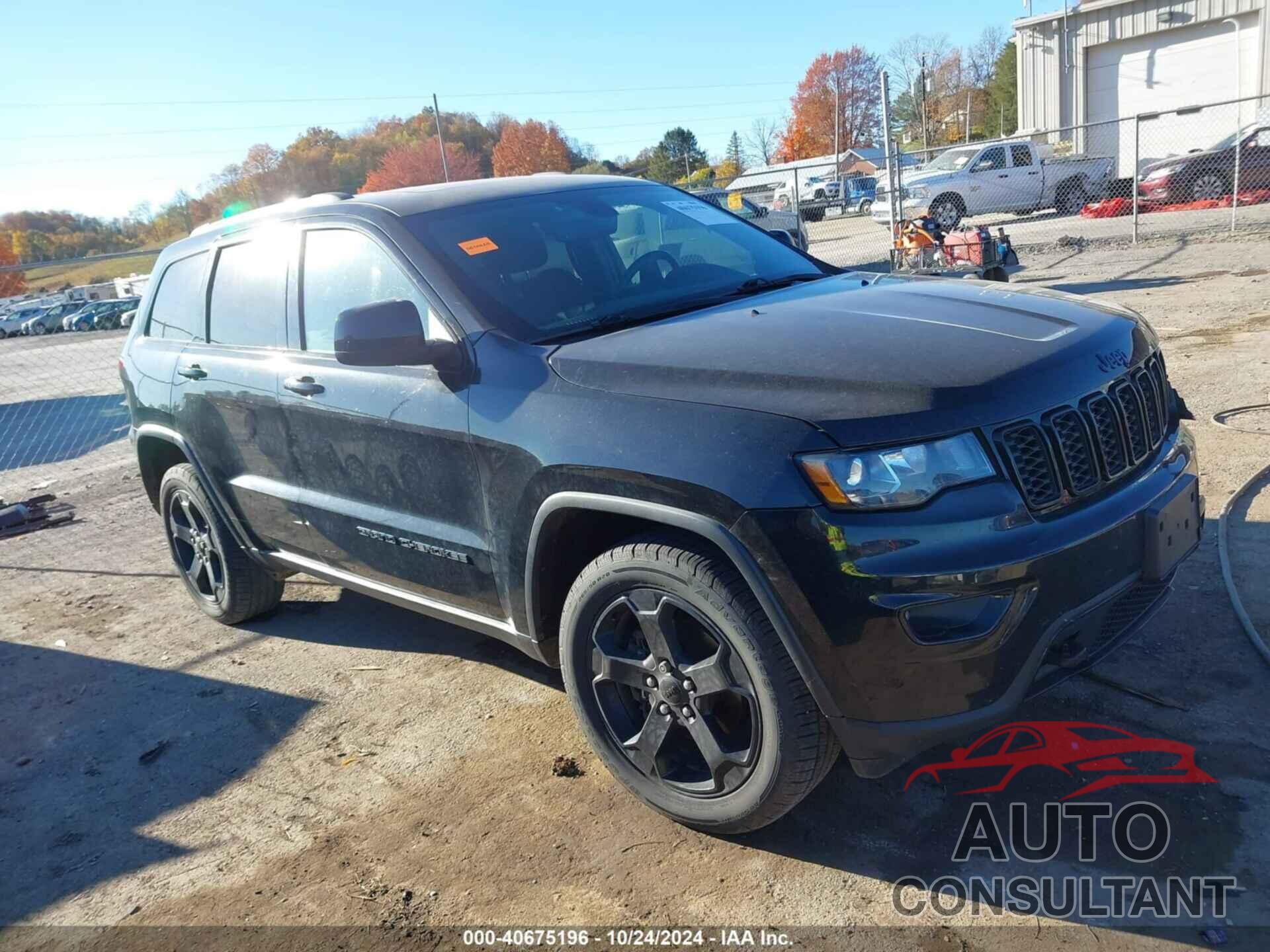 JEEP GRAND CHEROKEE 2019 - 1C4RJFAG3KC668928