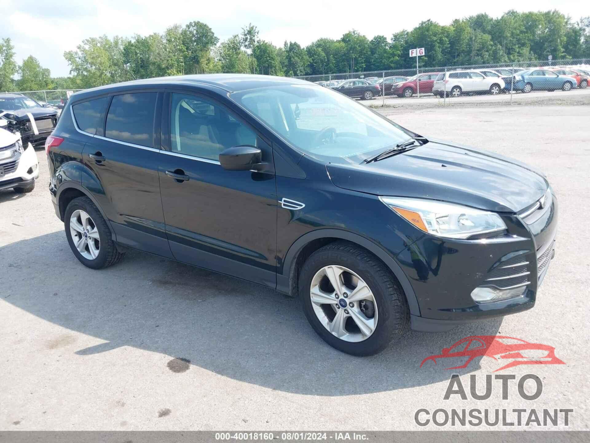 FORD ESCAPE 2016 - 1FMCU9GX3GUB28756