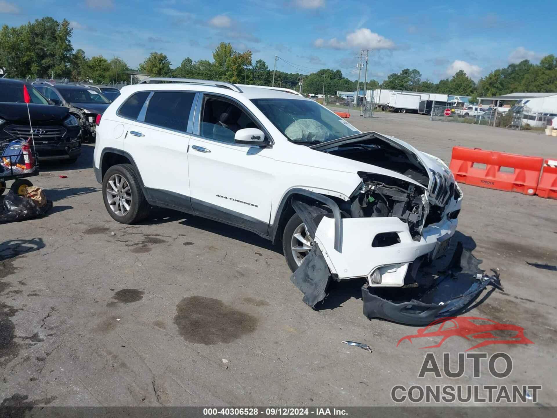 JEEP CHEROKEE 2014 - 1C4PJMDS7EW133390