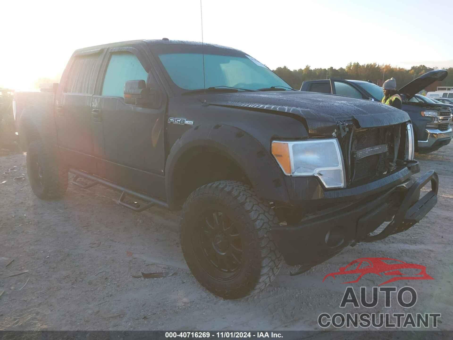 FORD F-150 2011 - 1FTFW1EF4BKD09344