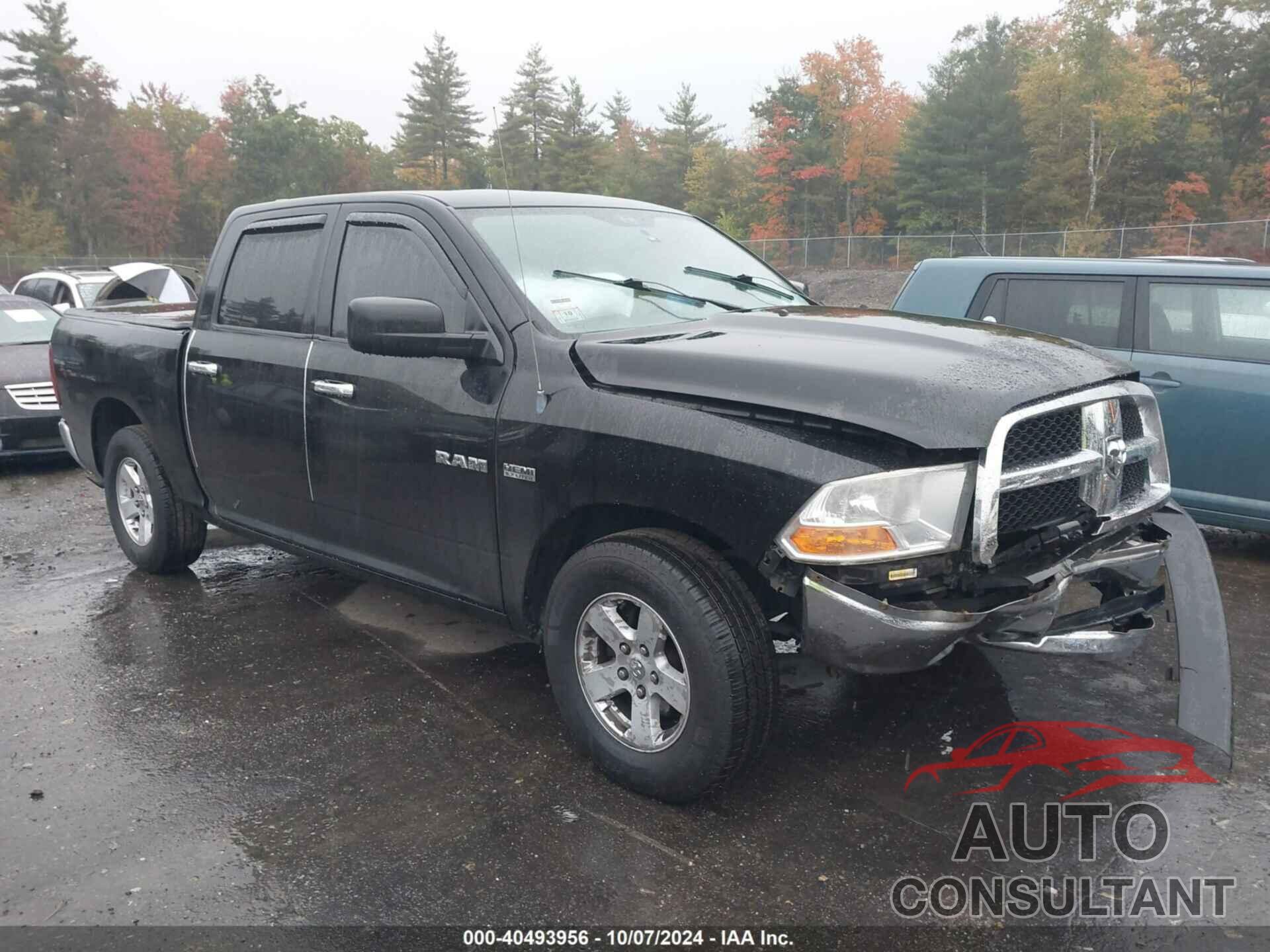 DODGE RAM 1500 2009 - 1D3HB13T19S790376