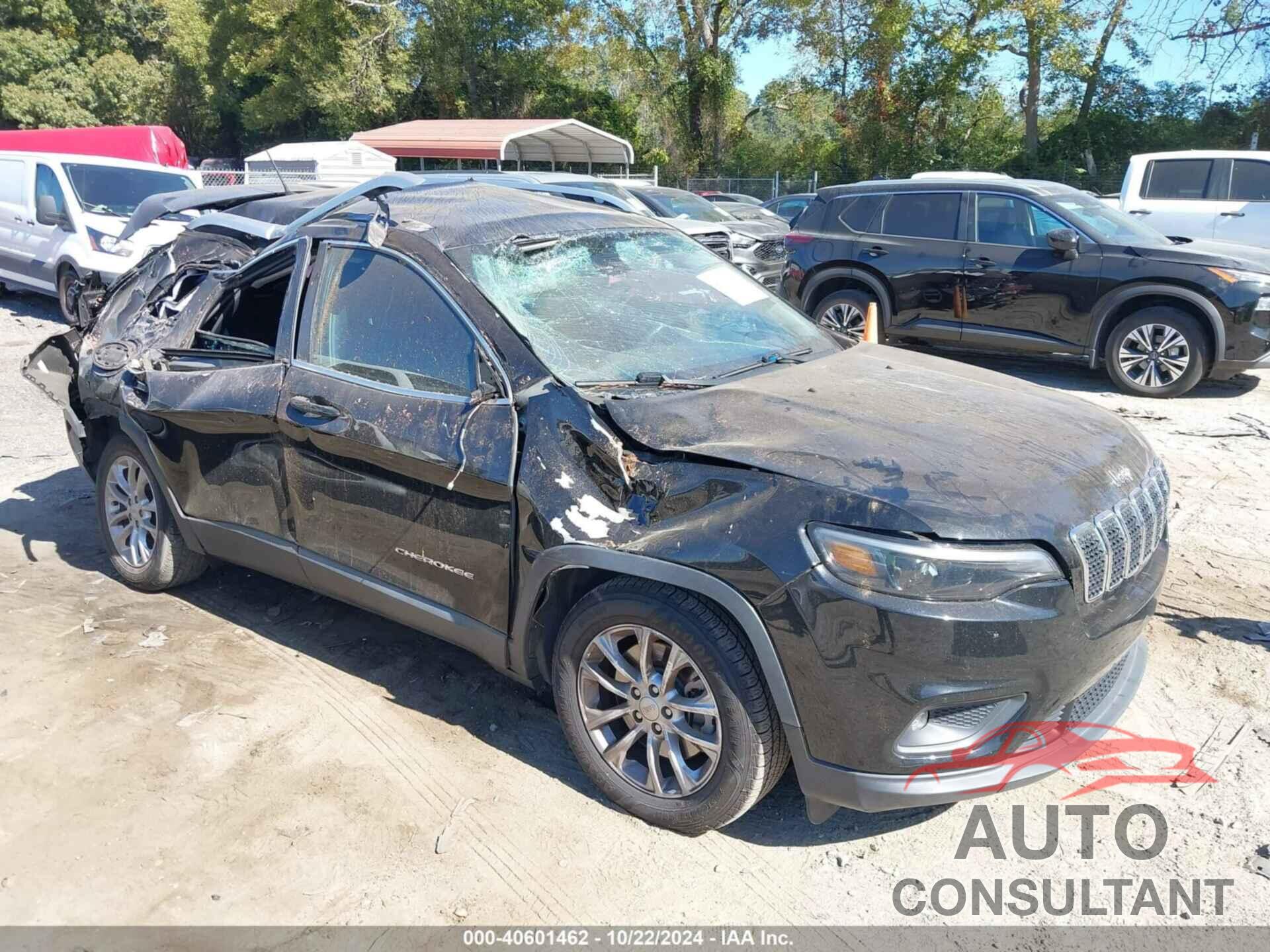 JEEP CHEROKEE 2019 - 1C4PJLCB8KD160150