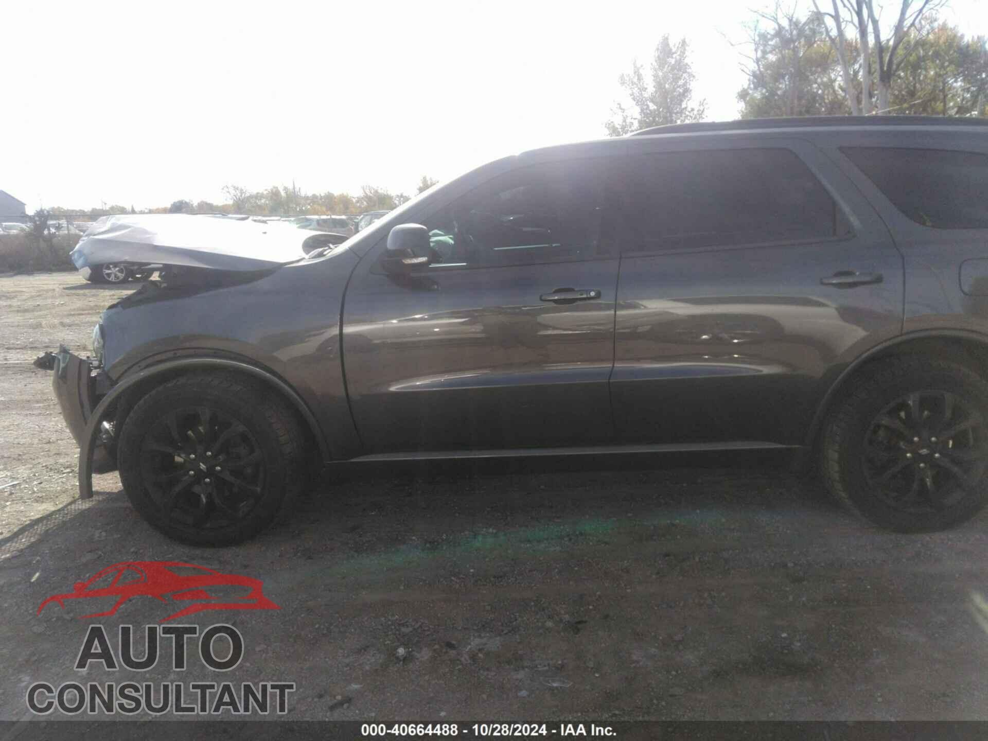 DODGE DURANGO 2019 - 1C4RDJDG3KC634218