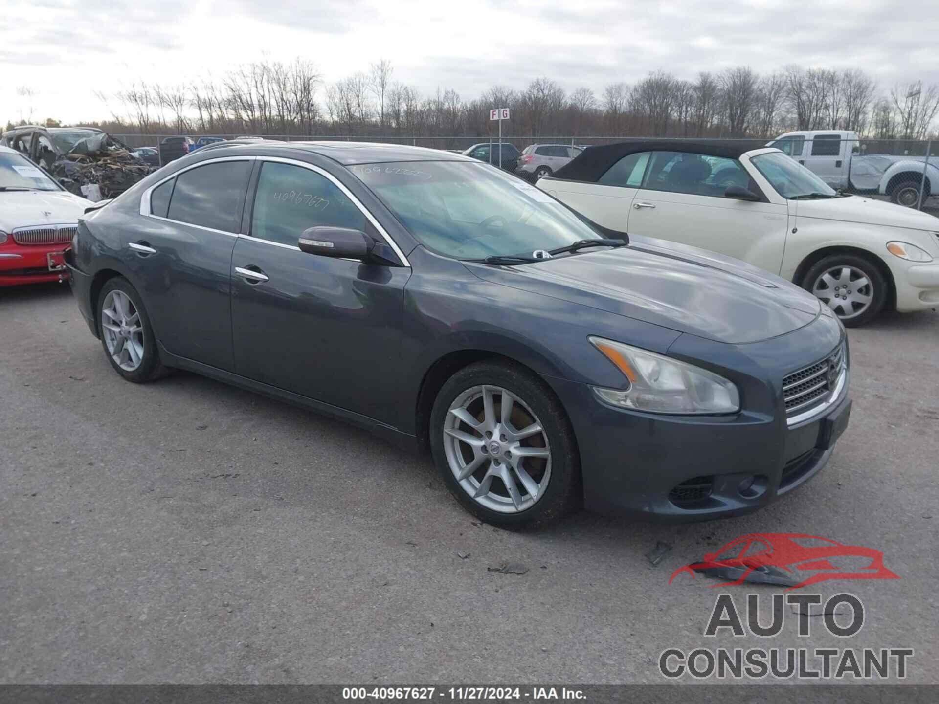 NISSAN MAXIMA 2011 - 1N4AA5APXBC810091