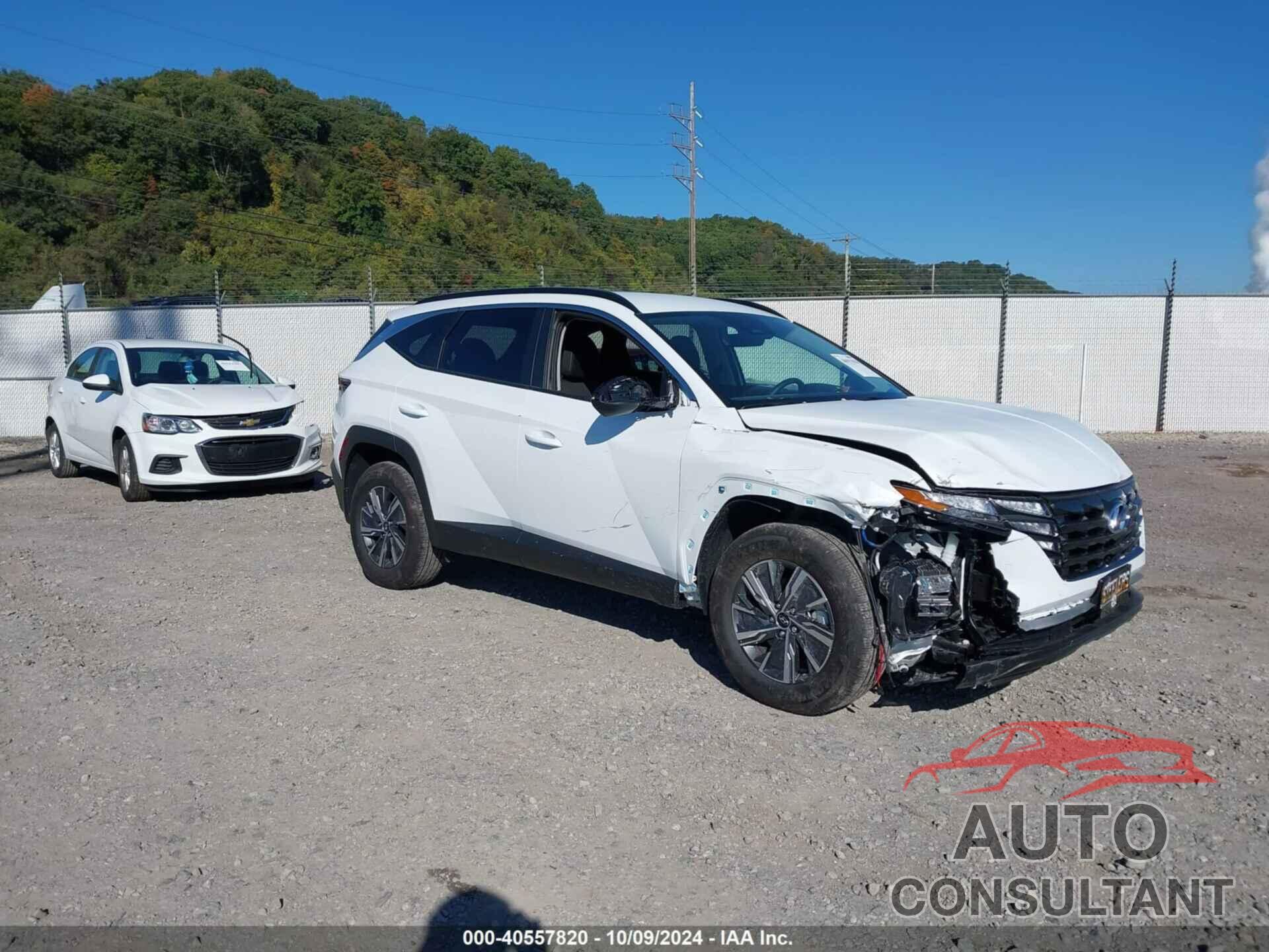 HYUNDAI TUCSON HYBRID 2024 - KM8JBCD11RU217478