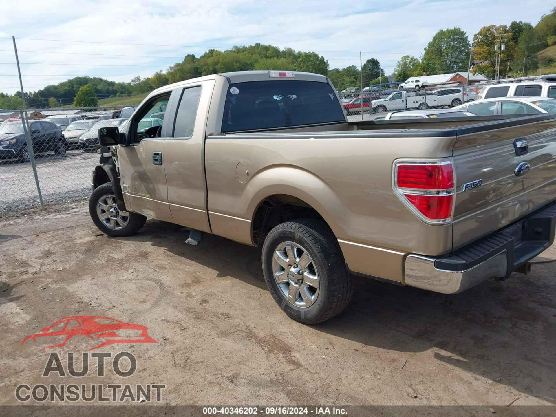 FORD F-150 2013 - 1FTFX1CTXDFD46920