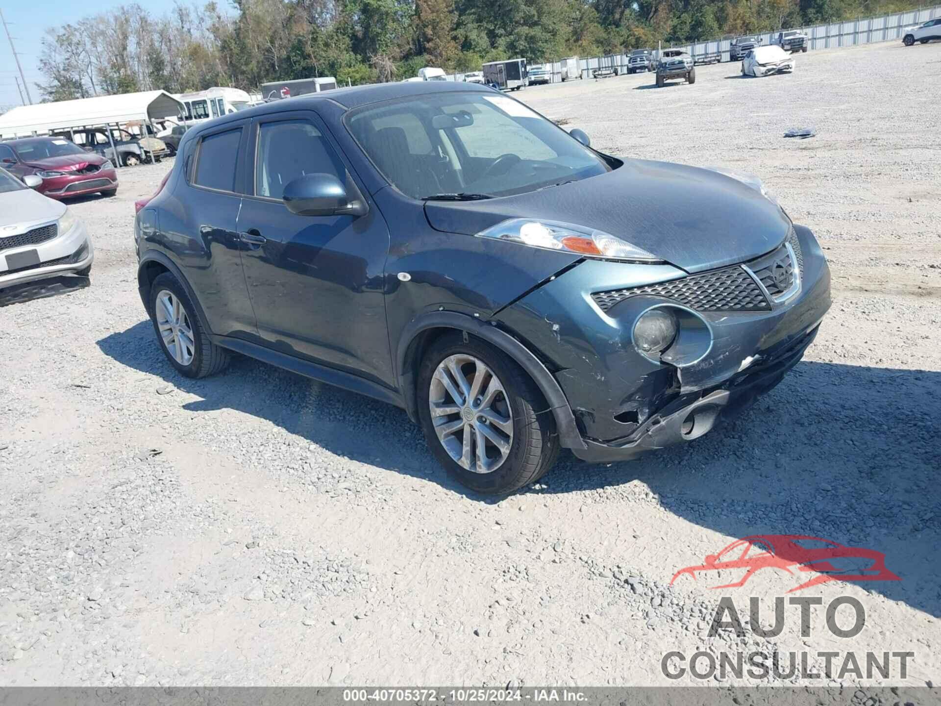 NISSAN JUKE 2013 - JN8AF5MR0DT213709