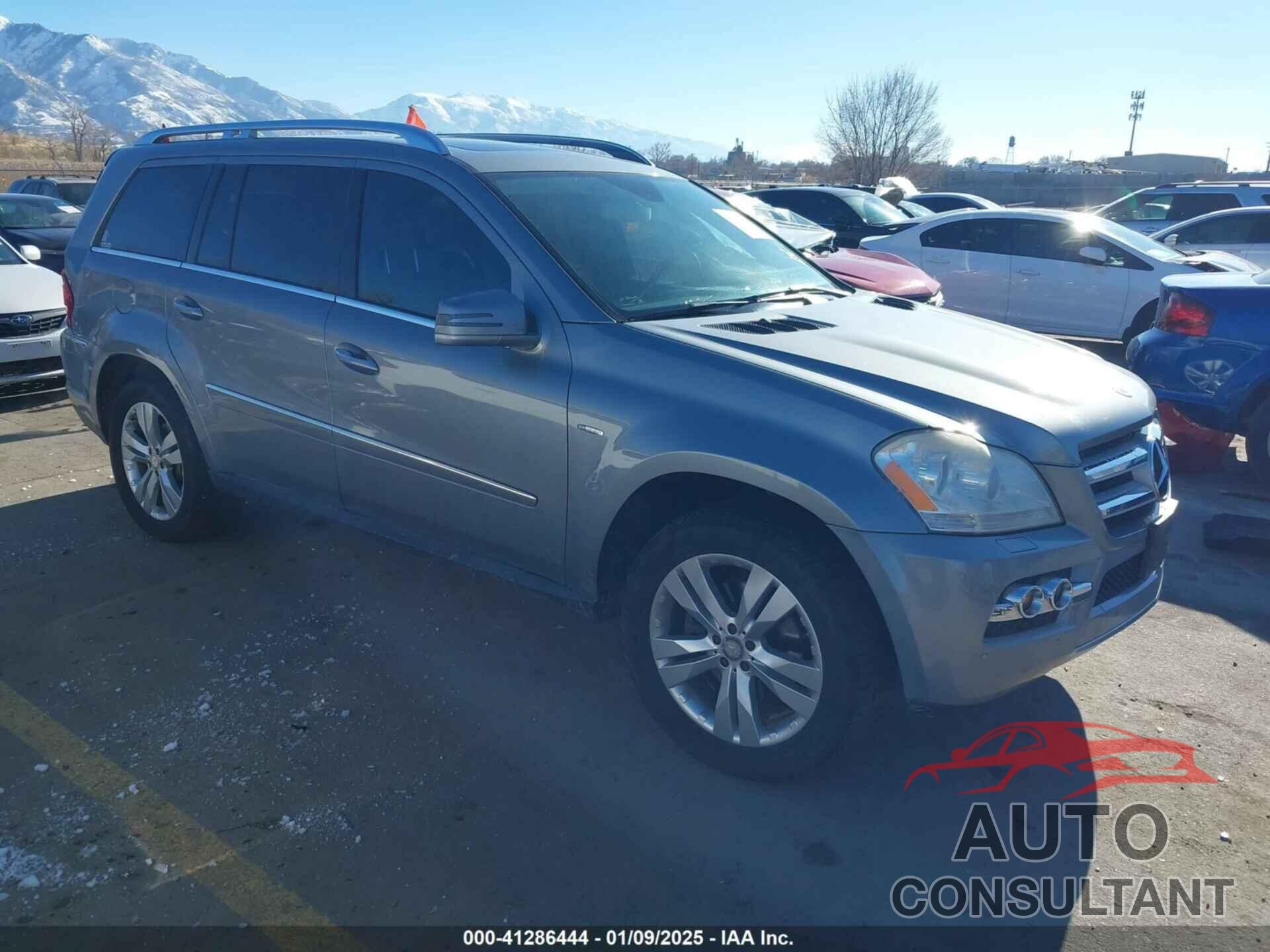 MERCEDES-BENZ GL 350 BLUETEC 2011 - 4JGBF2FEXBA761407
