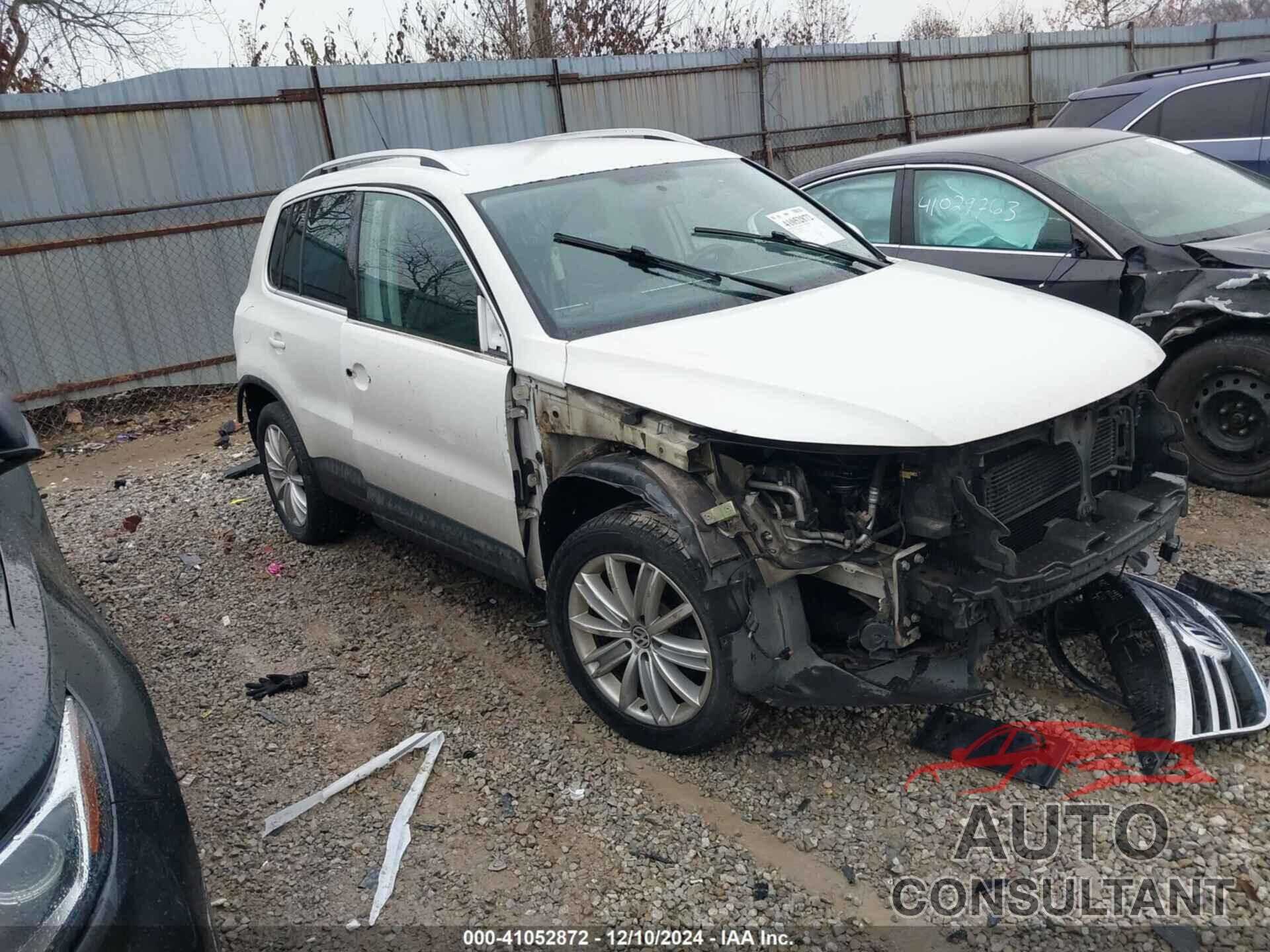 VOLKSWAGEN TIGUAN 2009 - WVGBV75N09W535441