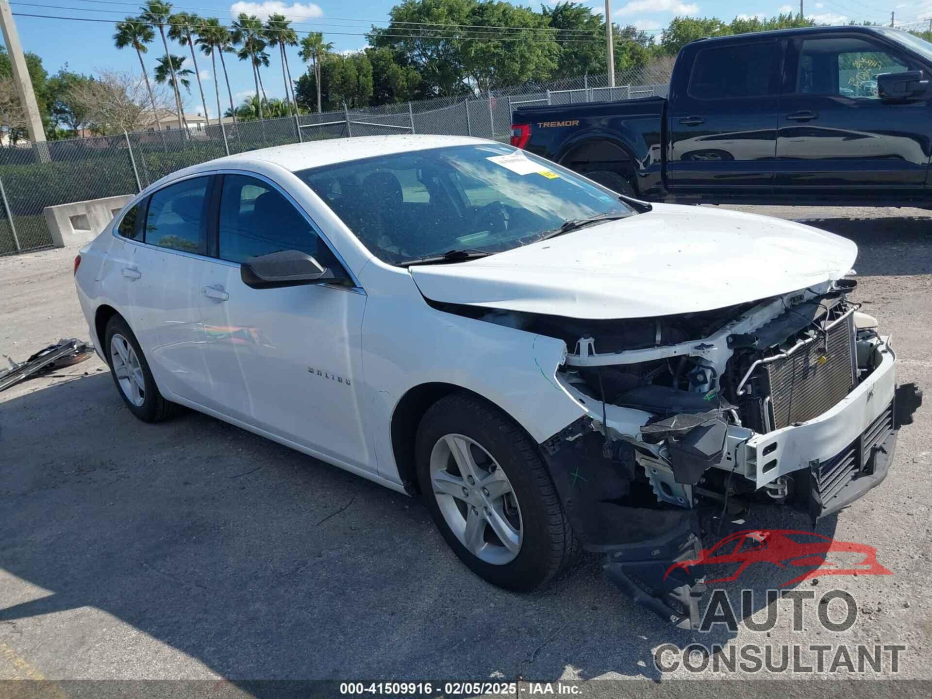 CHEVROLET MALIBU 2019 - 1G1ZB5ST5KF176959