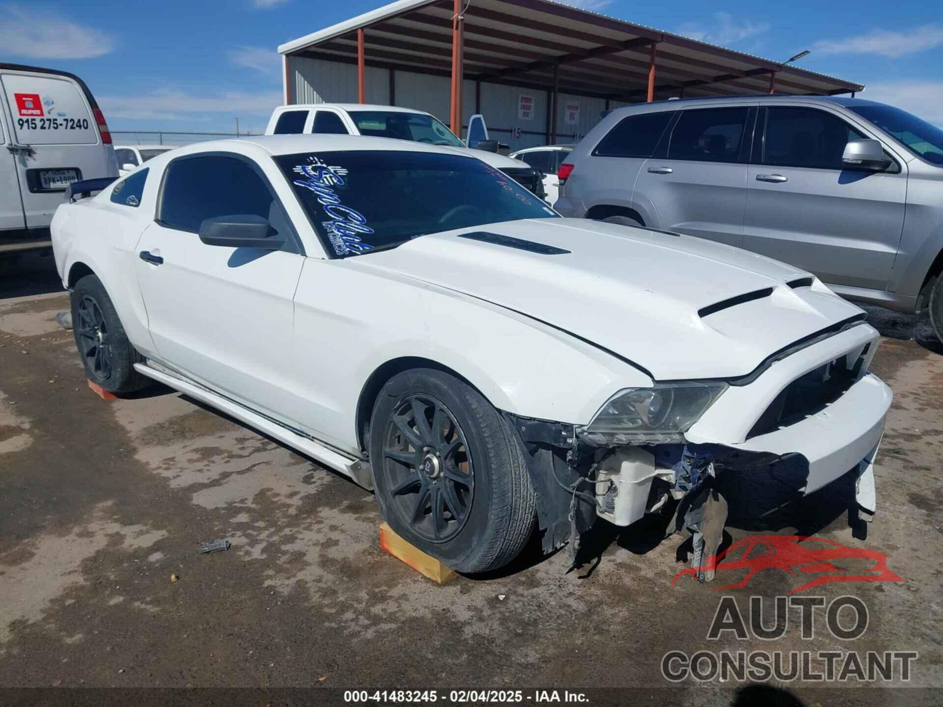 FORD MUSTANG 2013 - 1ZVBP8AMXD5219039