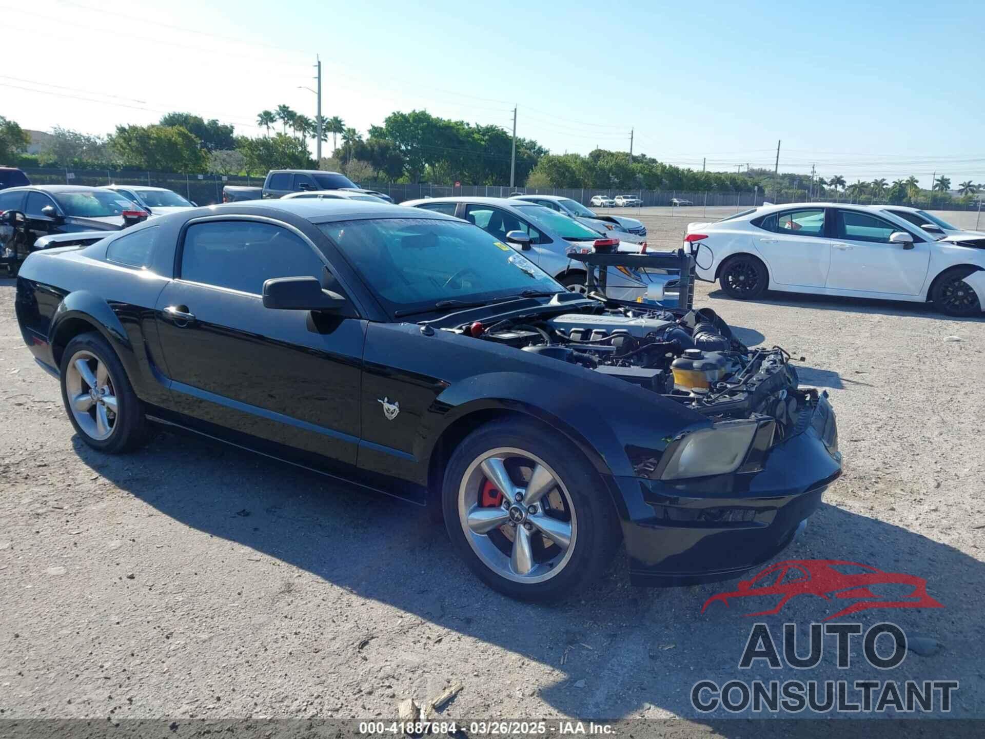 FORD MUSTANG 2009 - 1ZVHT82H195130037