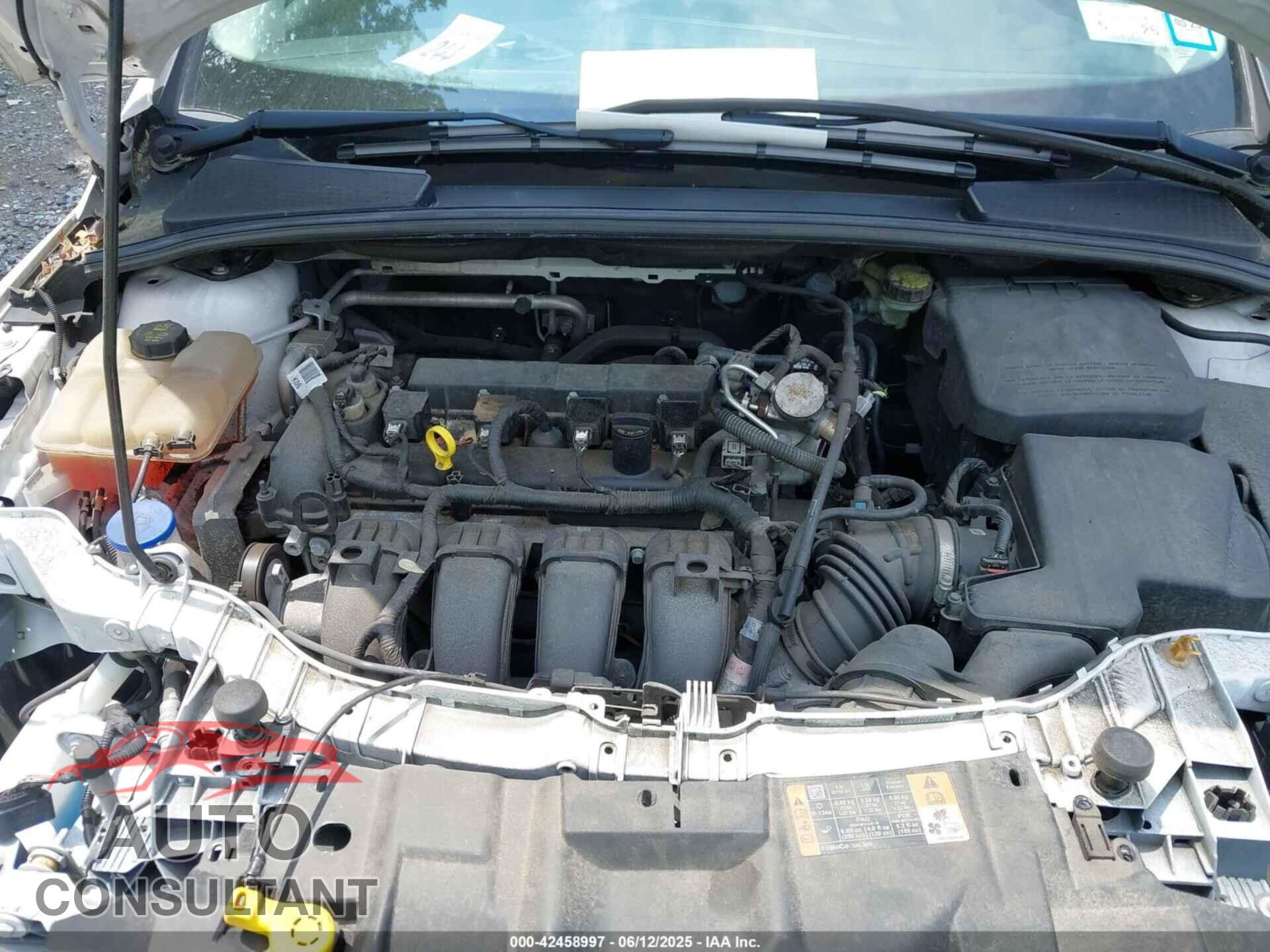 FORD FOCUS 2016 - 1FADP3N26GL332709