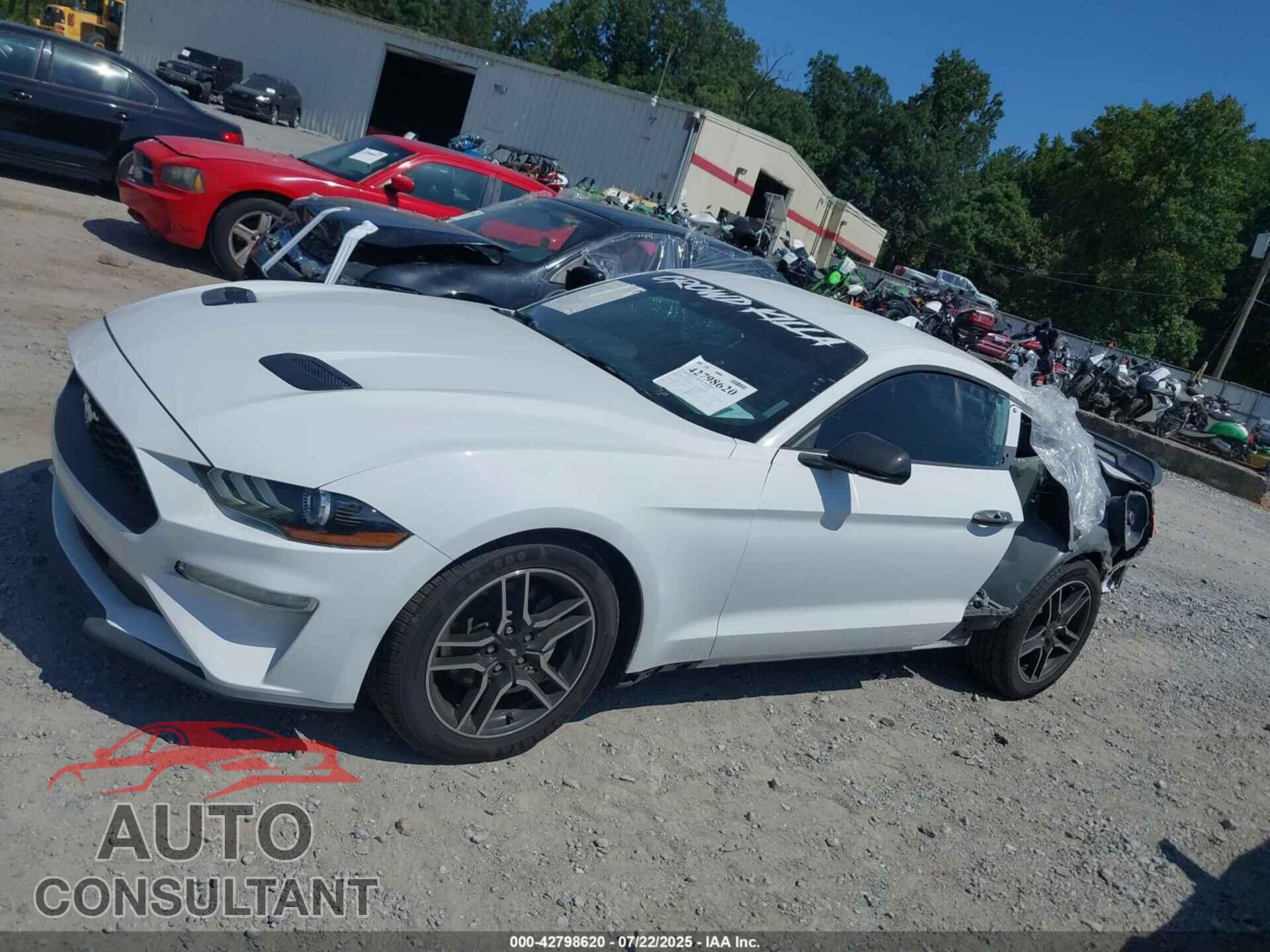 FORD MUSTANG 2021 - 1FA6P8TH2M5151703