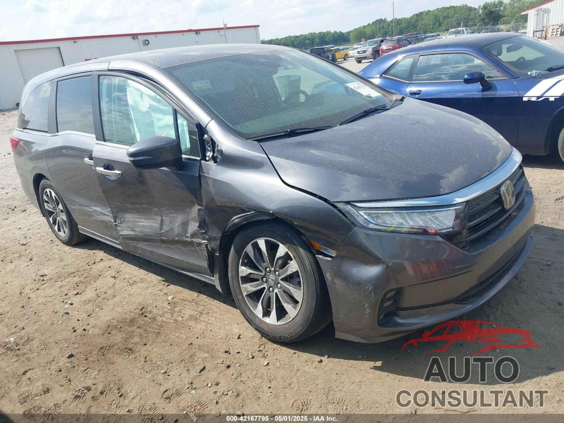 HONDA ODYSSEY 2024 - 5FNRL6H60RB071028