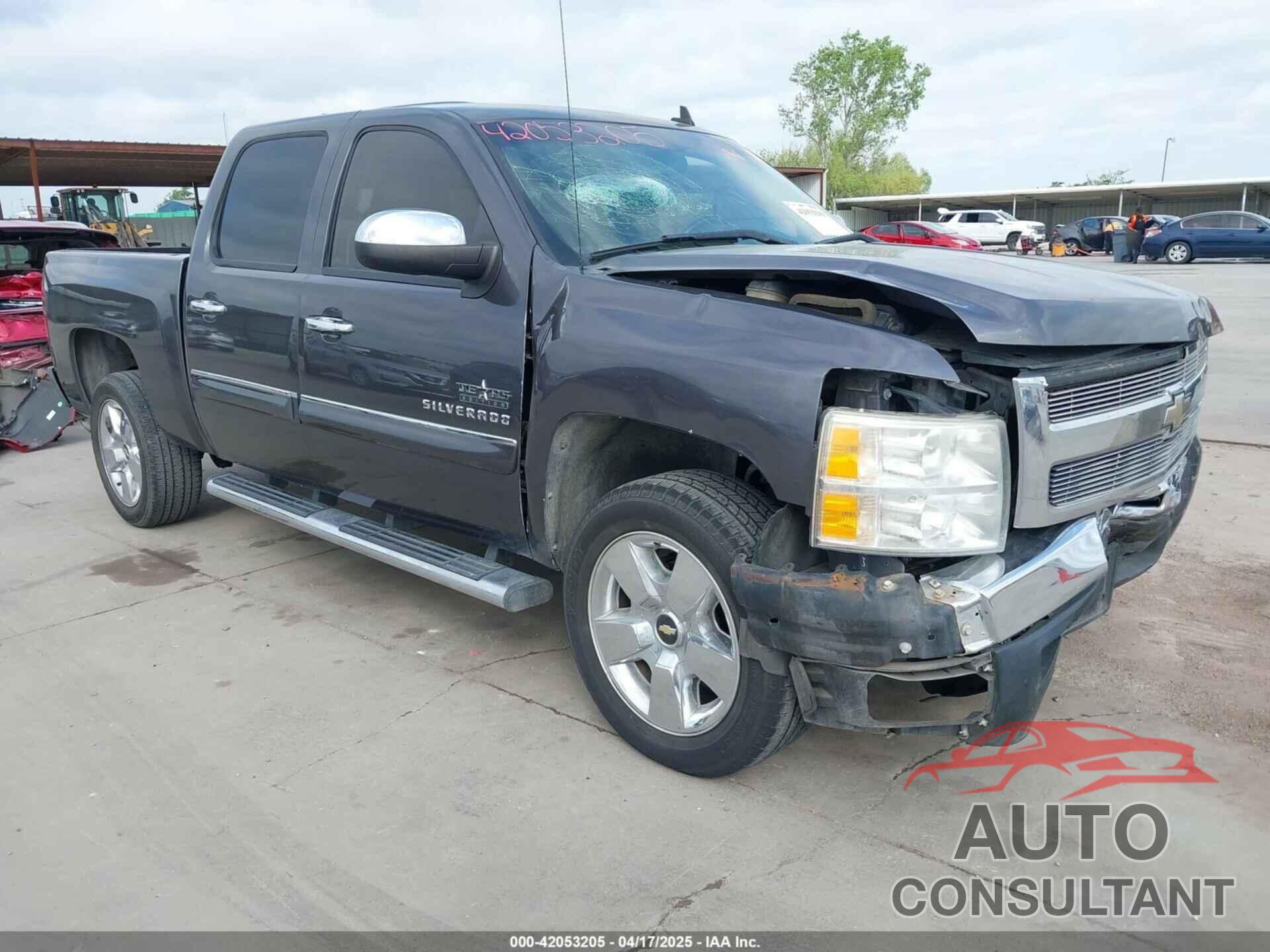 CHEVROLET SILVERADO 1500 2010 - 3GCRCSE03AG197651
