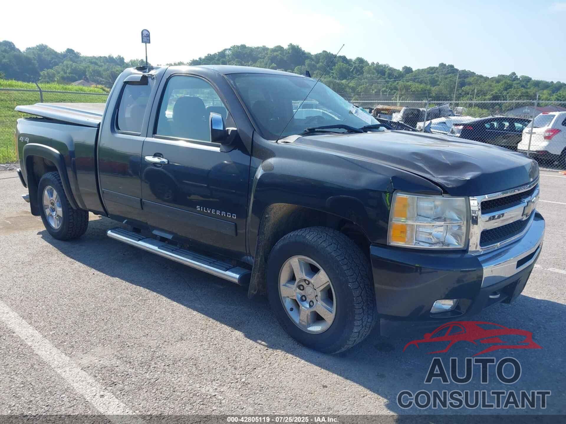 CHEVROLET SILVERADO 1500 2010 - 1GCSKSE39AZ259505