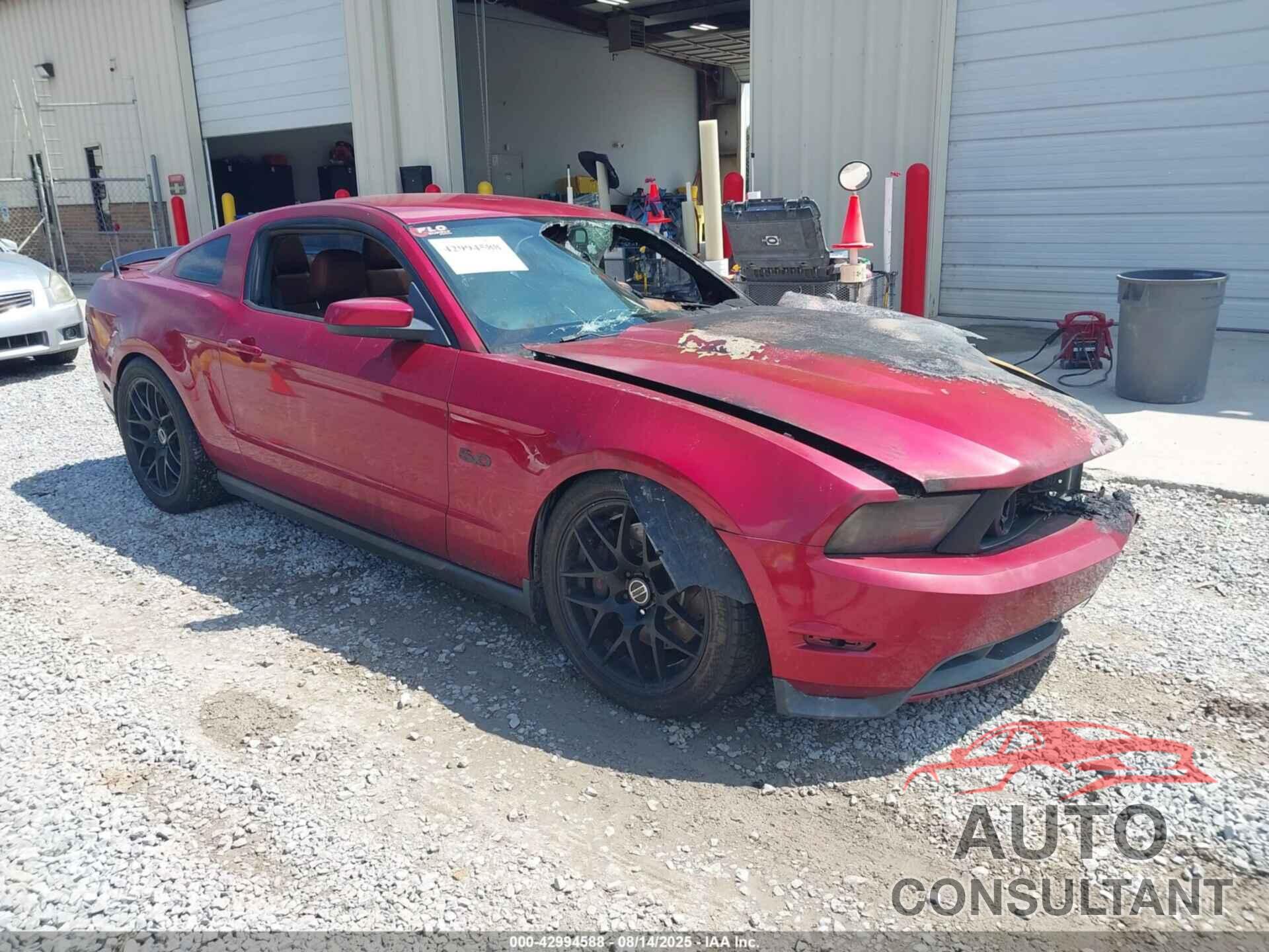 FORD MUSTANG 2011 - 1ZVBP8CF0B5138403