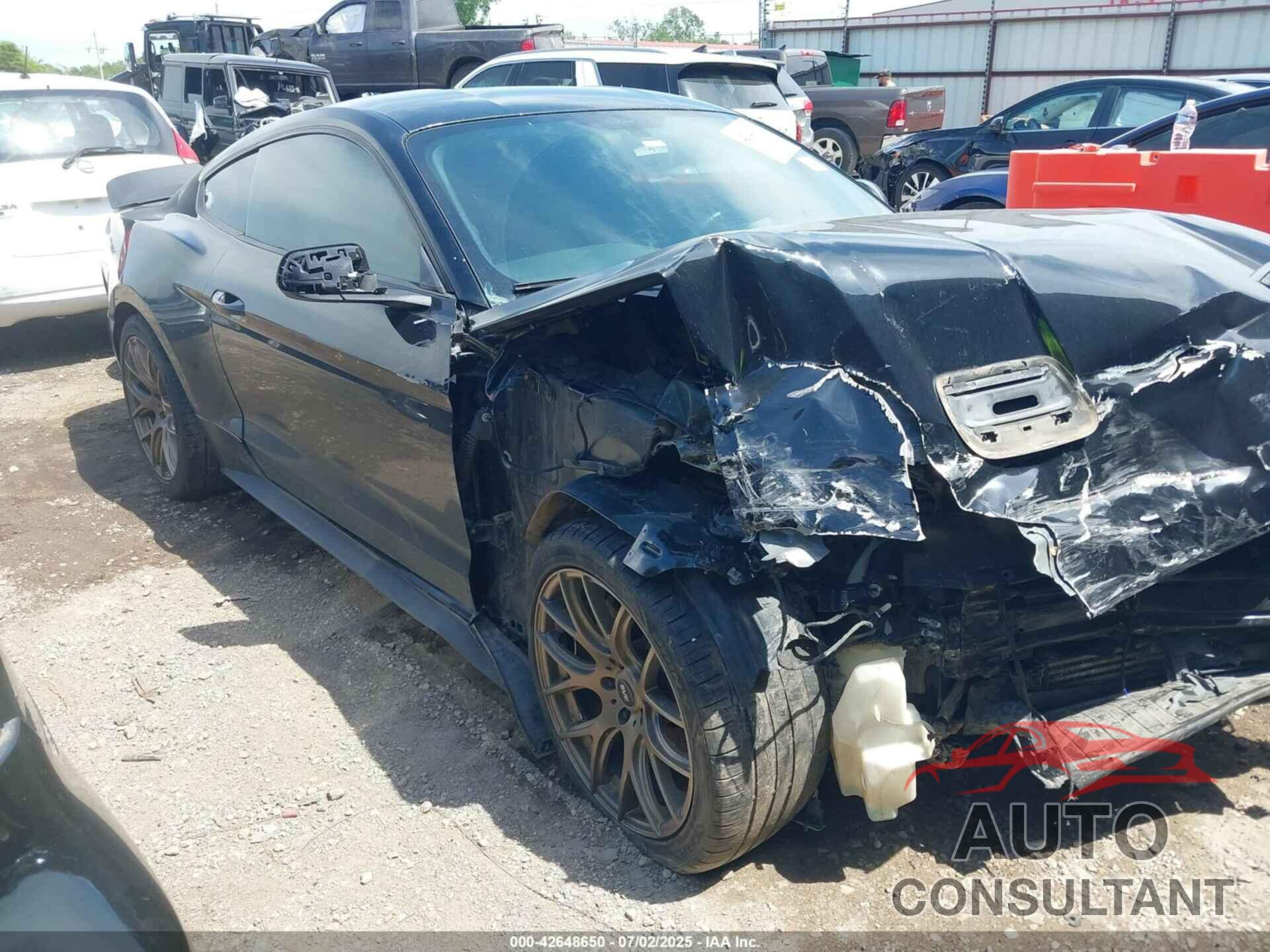 FORD MUSTANG 2019 - 1FA6P8TH3K5174811