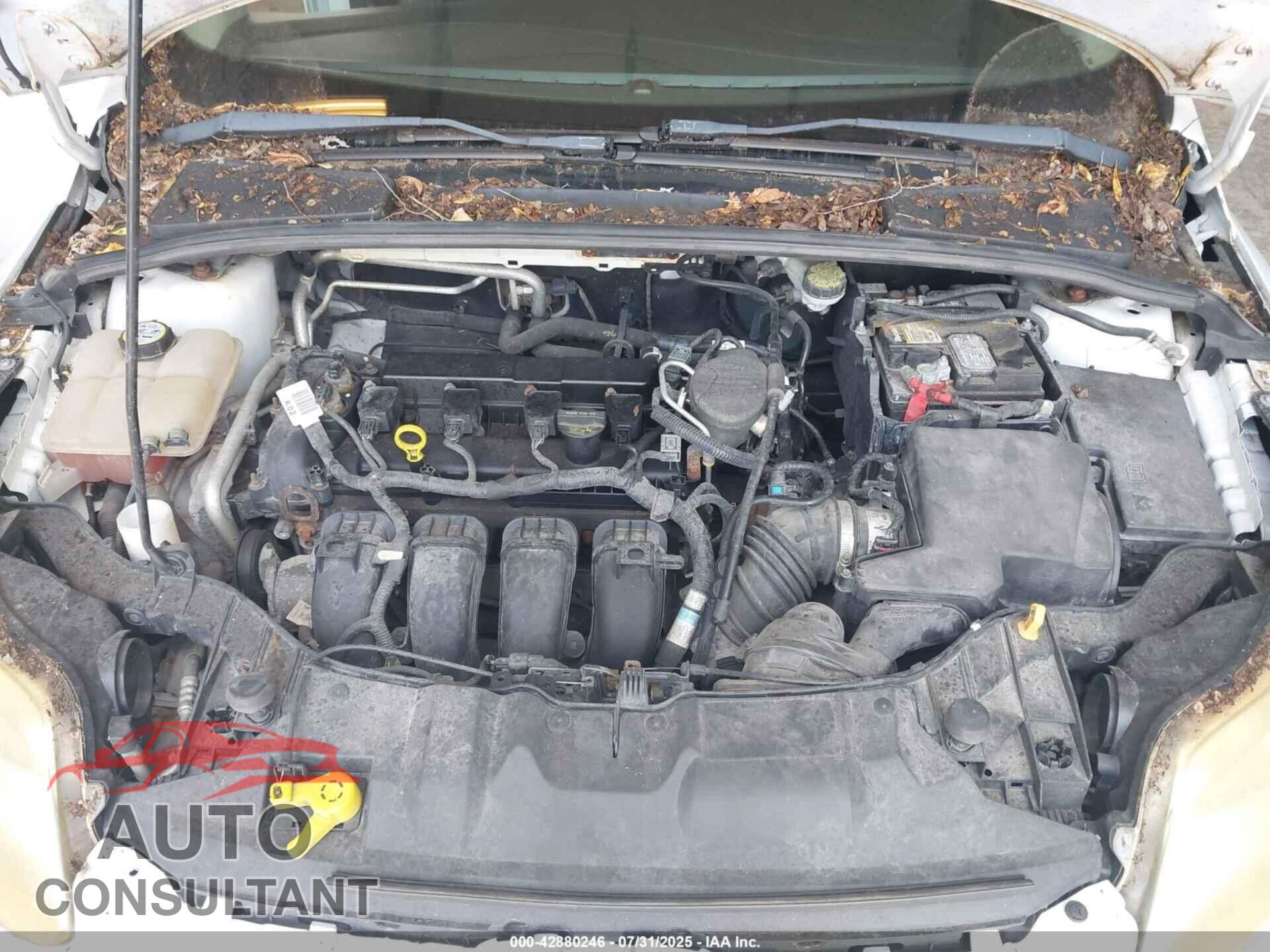 FORD FOCUS 2012 - 1FAHP3F29CL274881