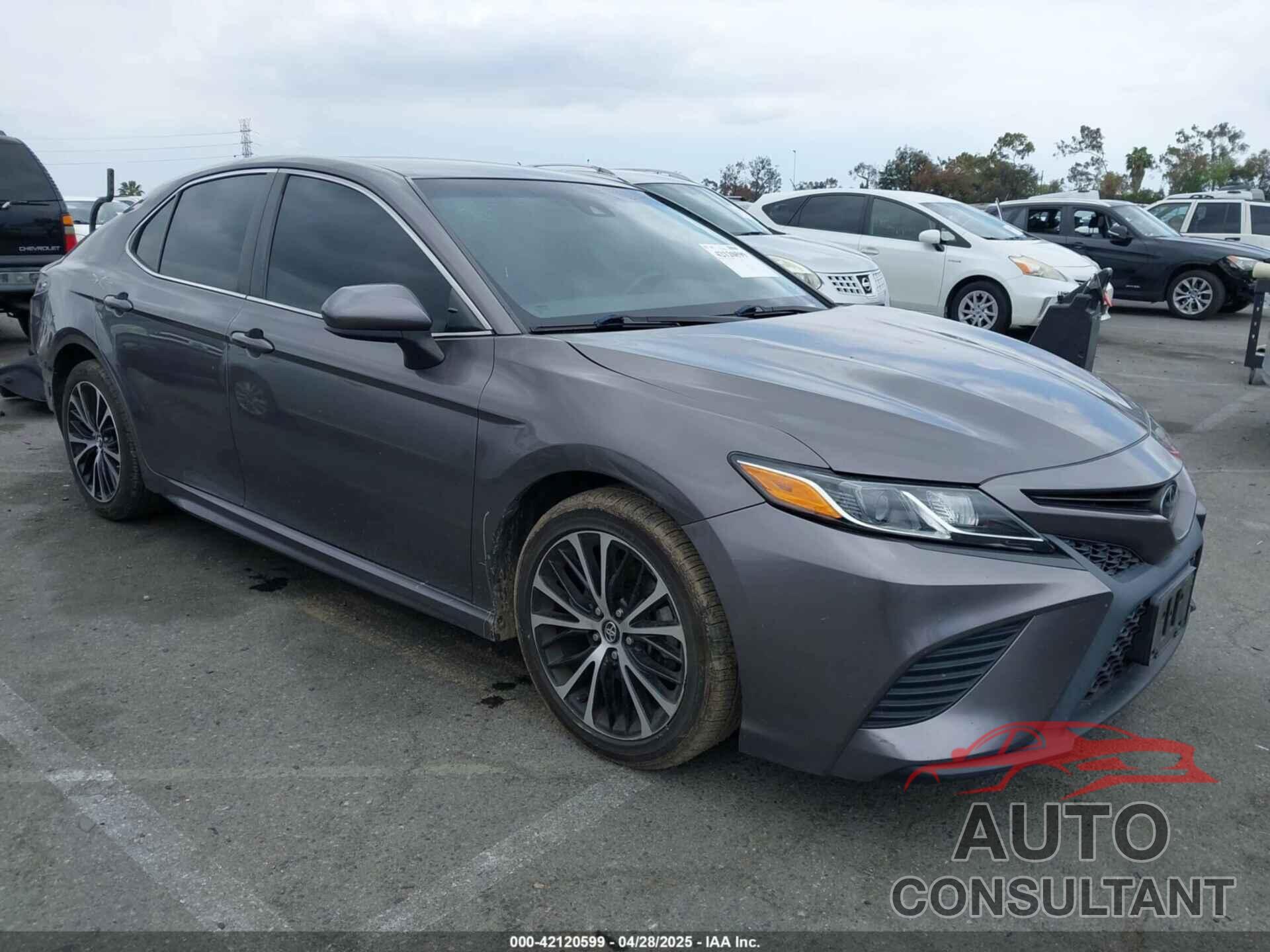TOYOTA CAMRY 2019 - 4T1B11HK8KU729761