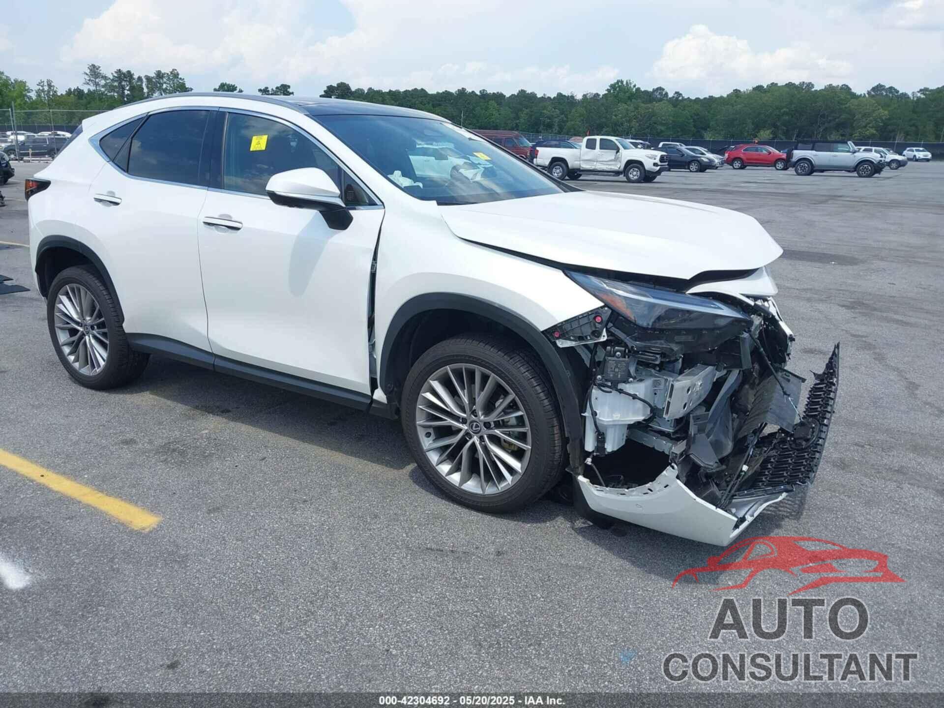 LEXUS NX 350H 2024 - JTJHKCEZ0R2029812