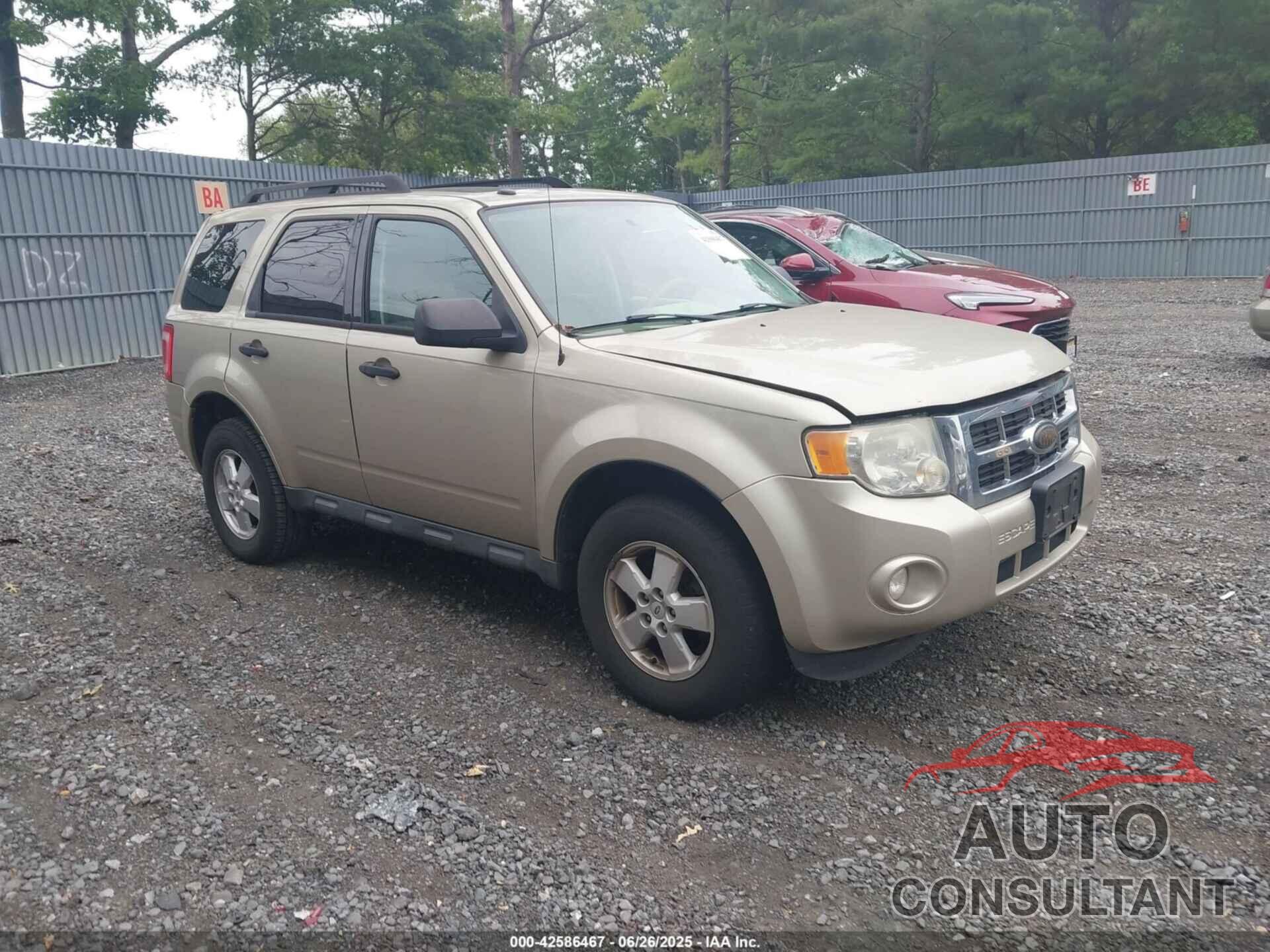 FORD ESCAPE 2010 - 1FMCU9DG5AKC64944