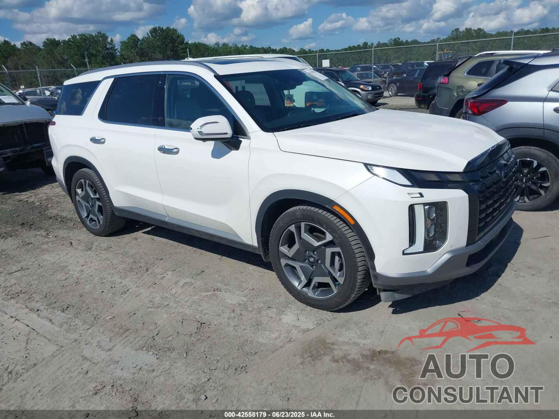 HYUNDAI PALISADE 2023 - KM8R4DGE8PU608514