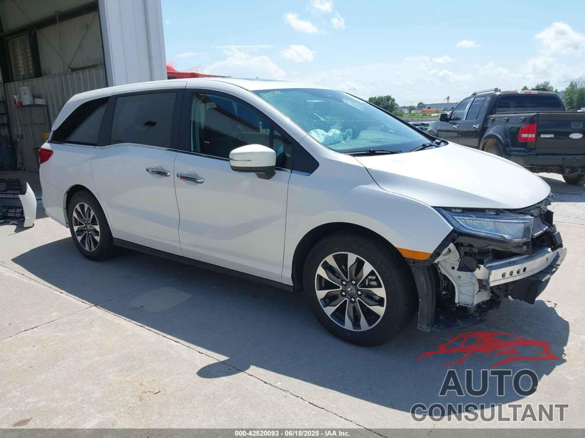 HONDA ODYSSEY 2024 - 5FNRL6H66RB049101