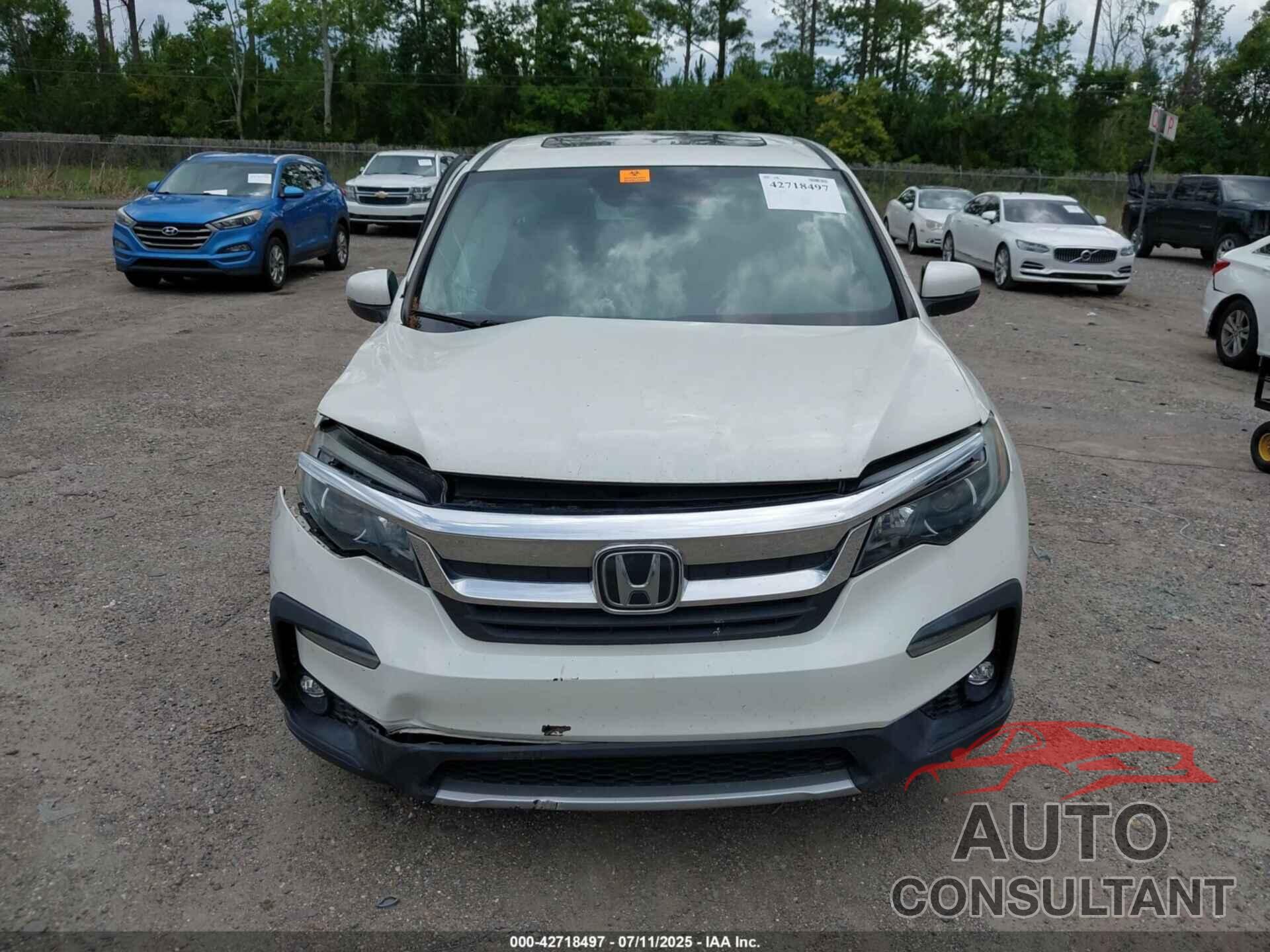 HONDA PILOT 2019 - 5FNYF6H49KB067552