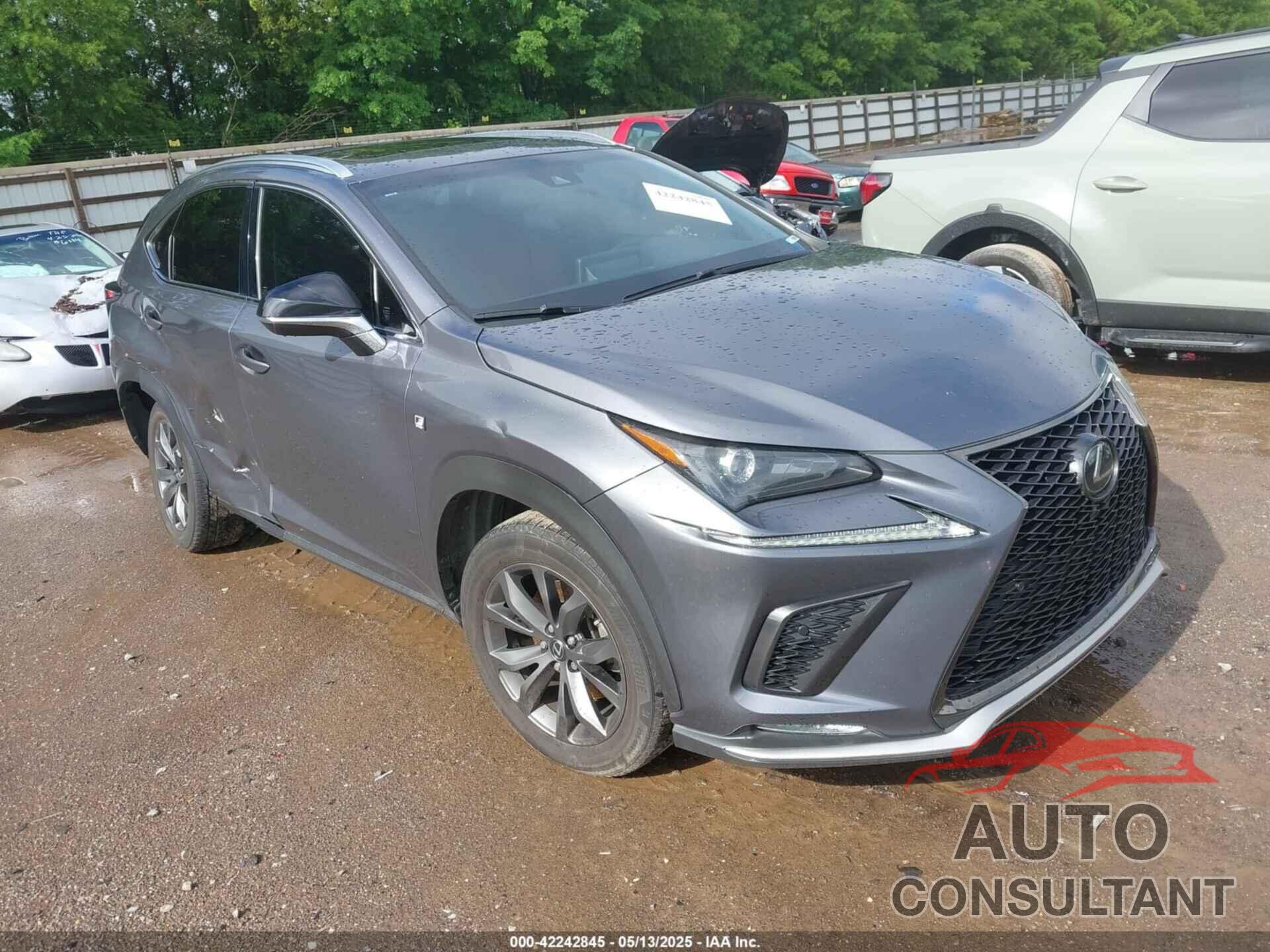 LEXUS NX 300 2019 - JTJYARBZ7K2141765