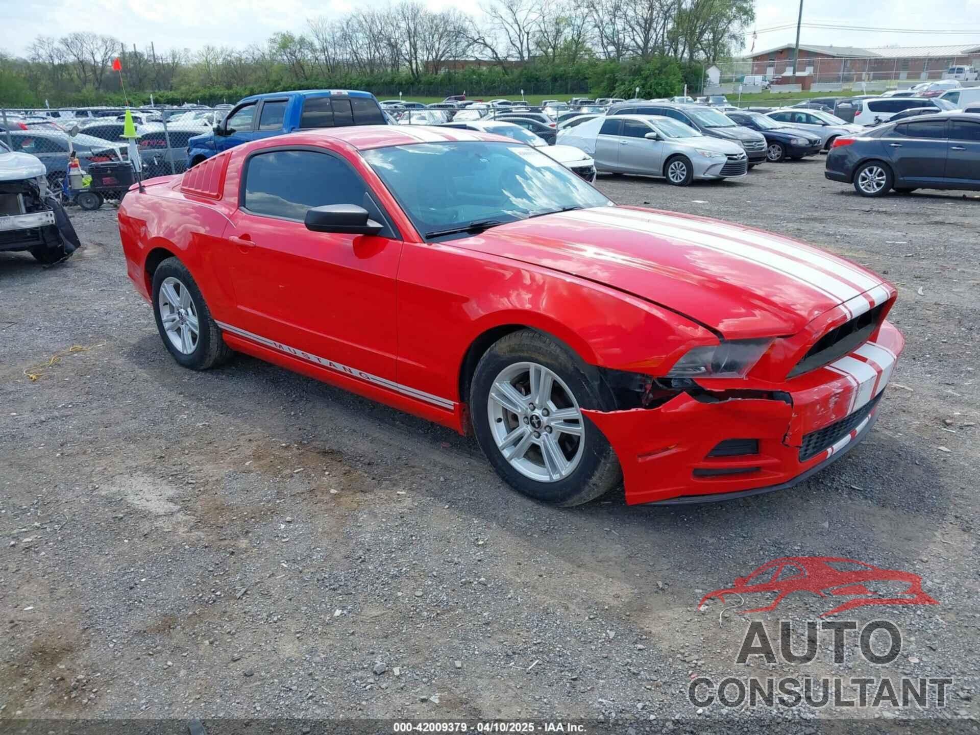 FORD MUSTANG 2014 - 1ZVBP8AMXE5223660