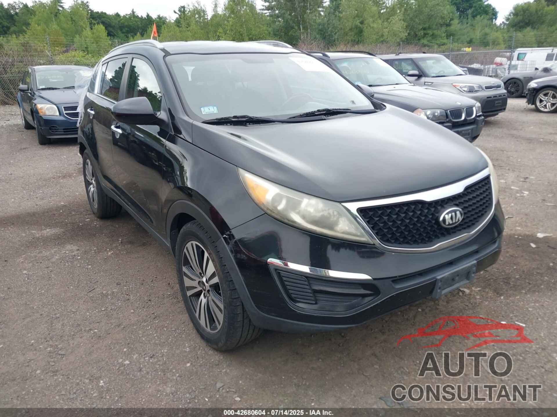 KIA SPORTAGE 2016 - KNDPC3AC0G7847229