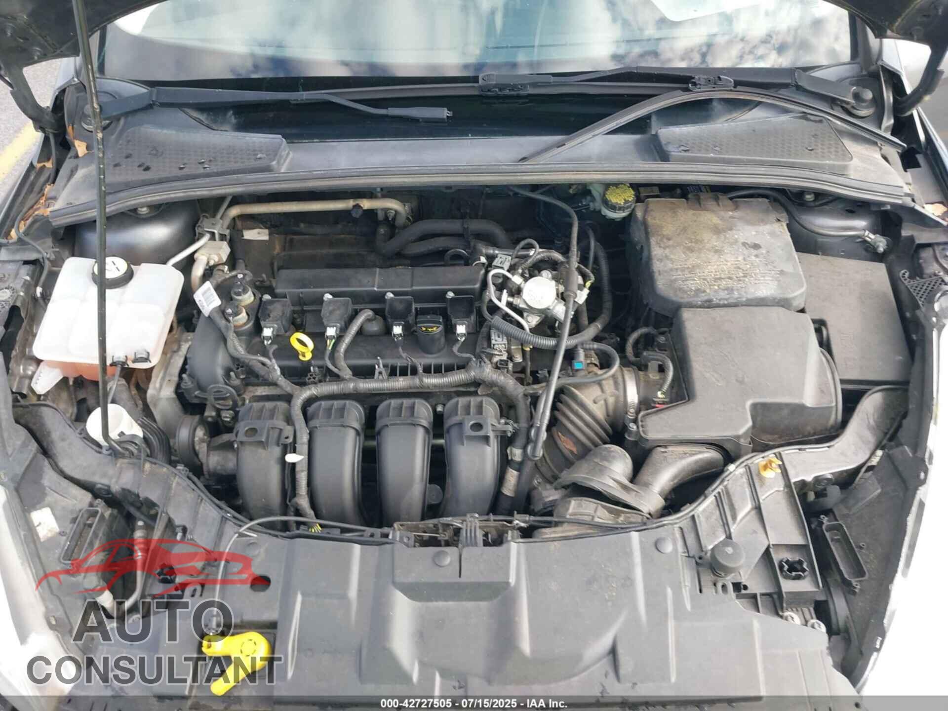 FORD FOCUS 2016 - 1FADP3E26GL367928