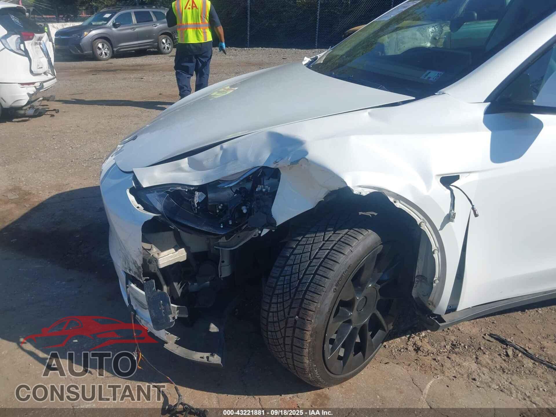 TESLA MODEL Y 2021 - 5YJYGDEE3MF125592