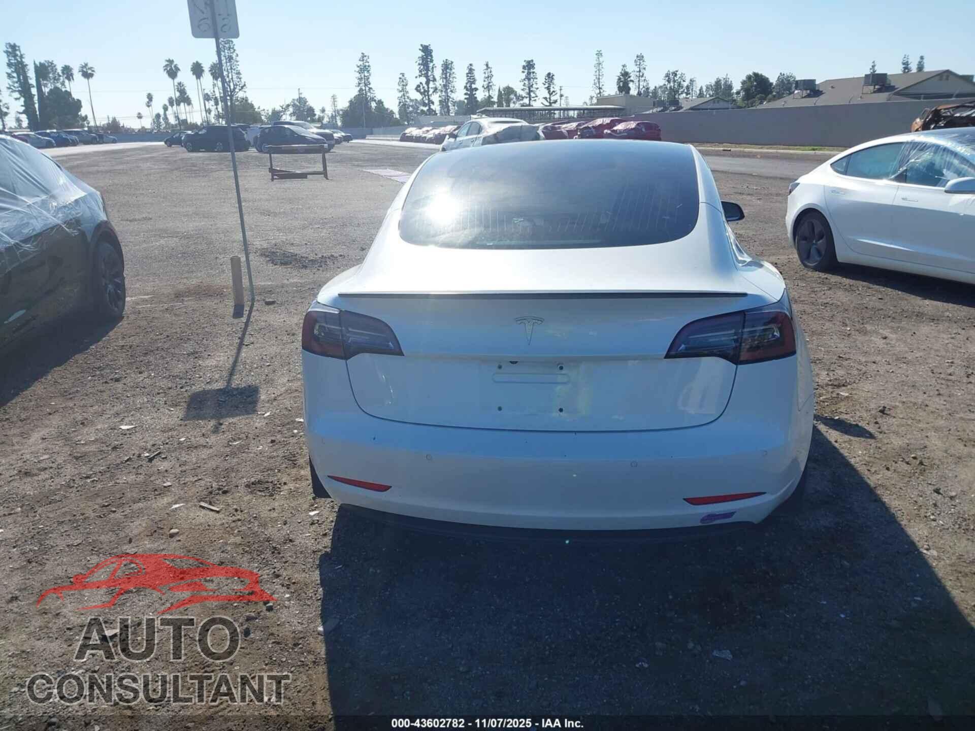 TESLA MODEL 3 2018 - 5YJ3E1EA2JF164682