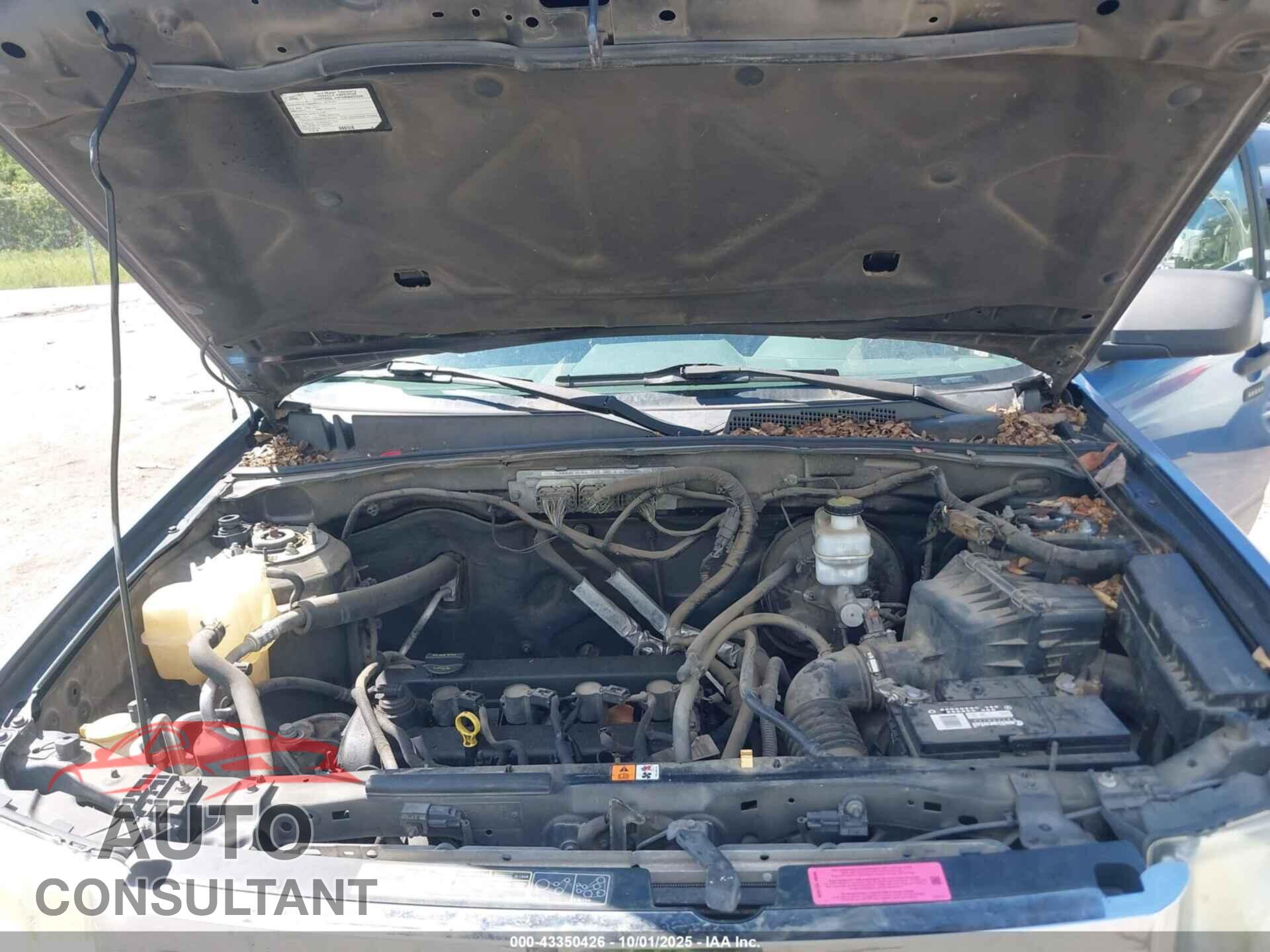 FORD ESCAPE 2010 - 1FMCU9D70AKB89523